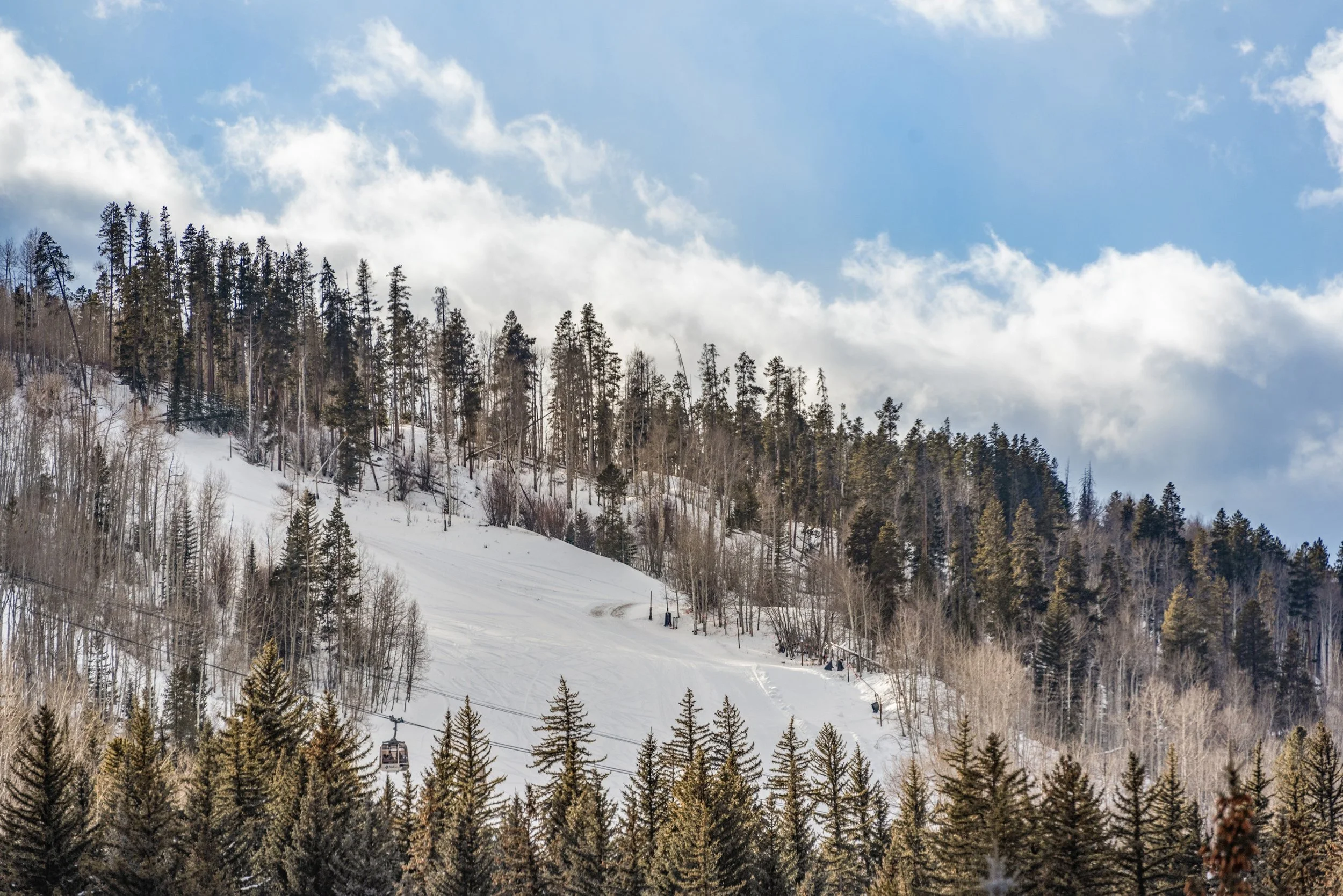 11-Four-Seasons-Vail-Winter-Forest-and-Ski-Mountain.jpg