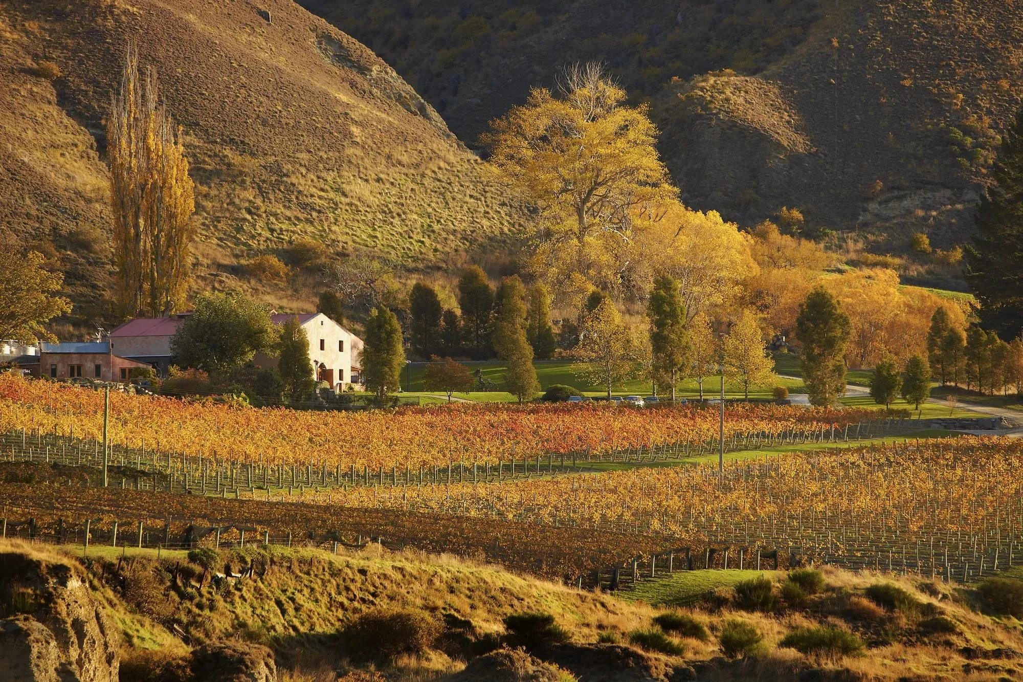 RWNMK_3-0_Brand-com_Assets_Destination_Chard-Farm-Winery.jpg
