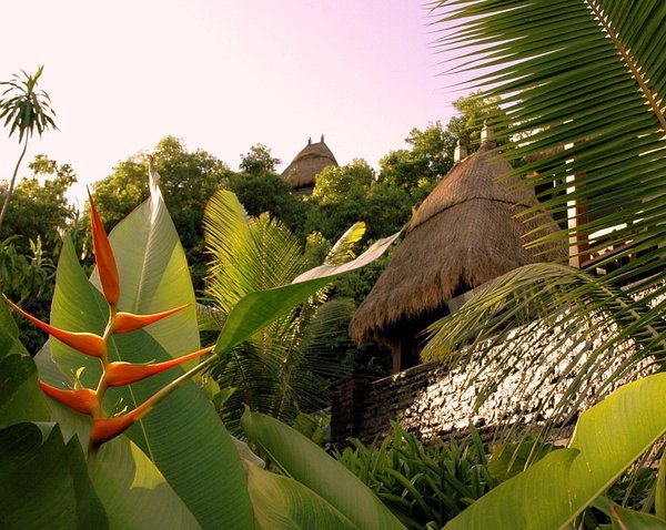 maia-garden.jpg