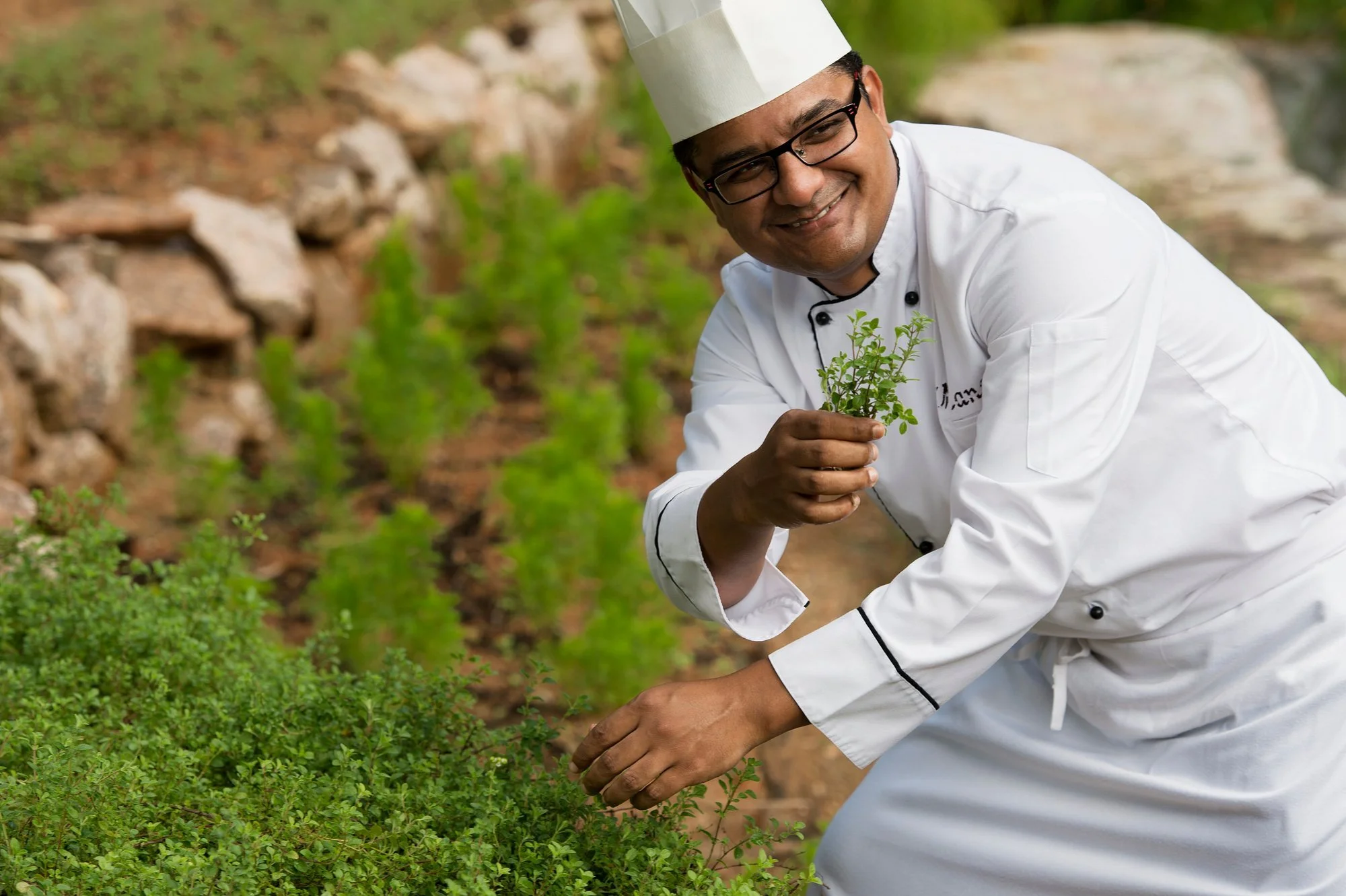 hand-picked-ingredients.jpg