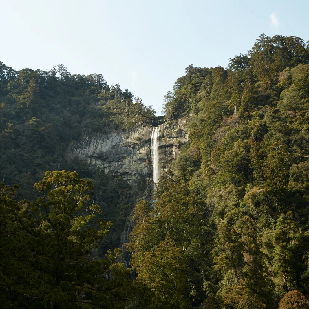 amanemu_japan_-_kumano_kodo.jpg