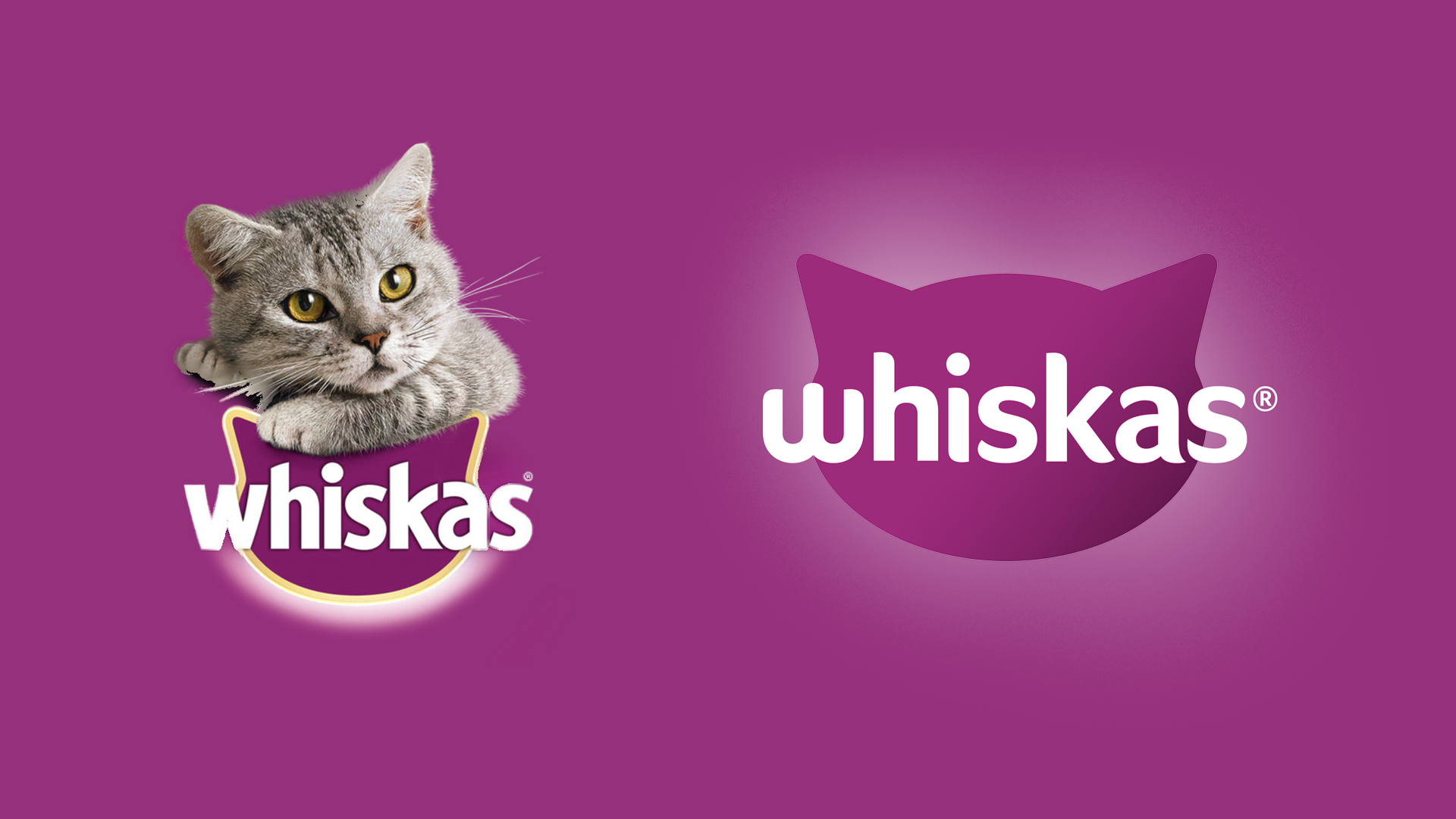 WHISKAS_FINAL_PHOTOSHOP_FILE_BEFORE_AFTER.png