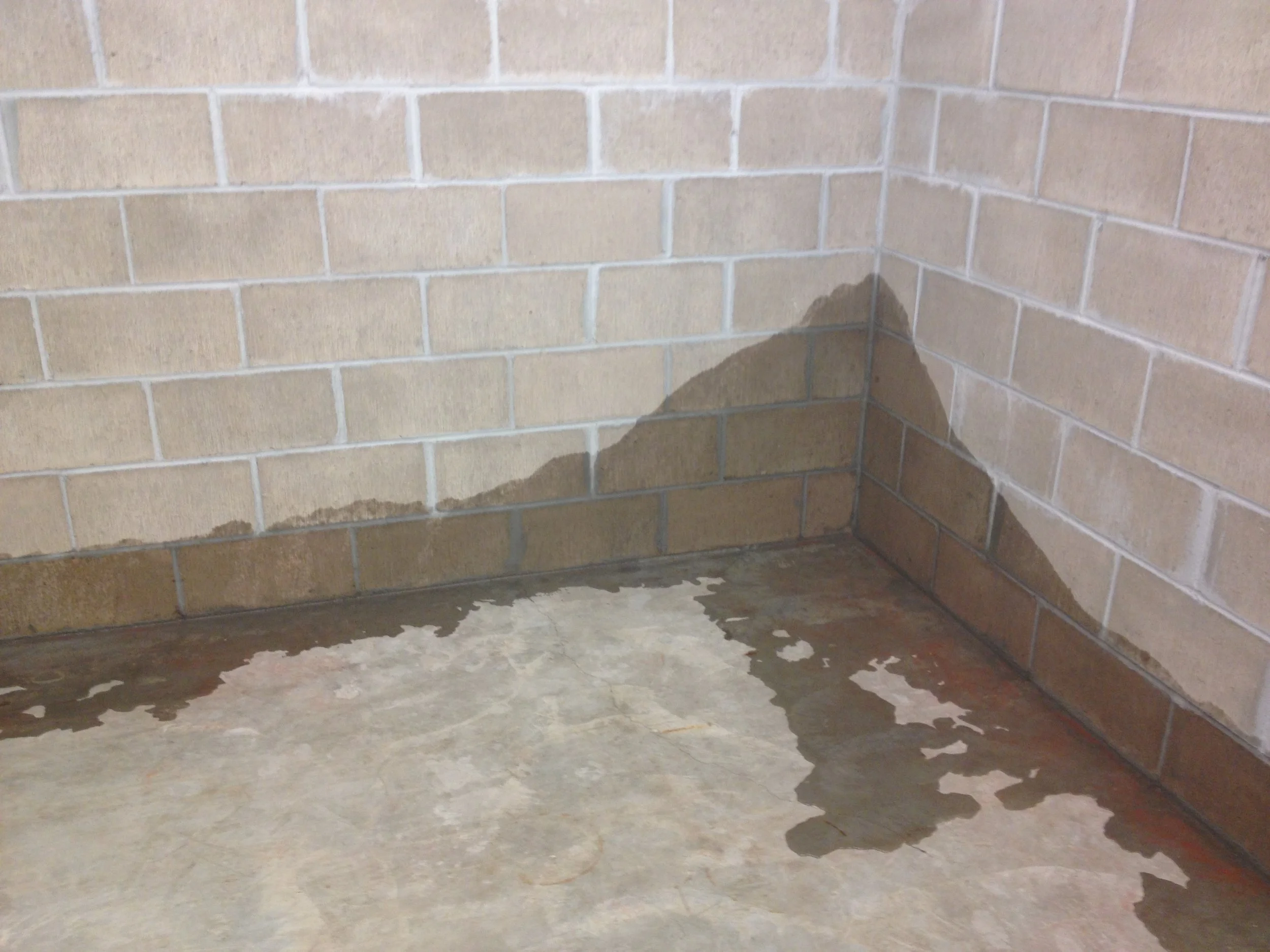 Wet Basement Help