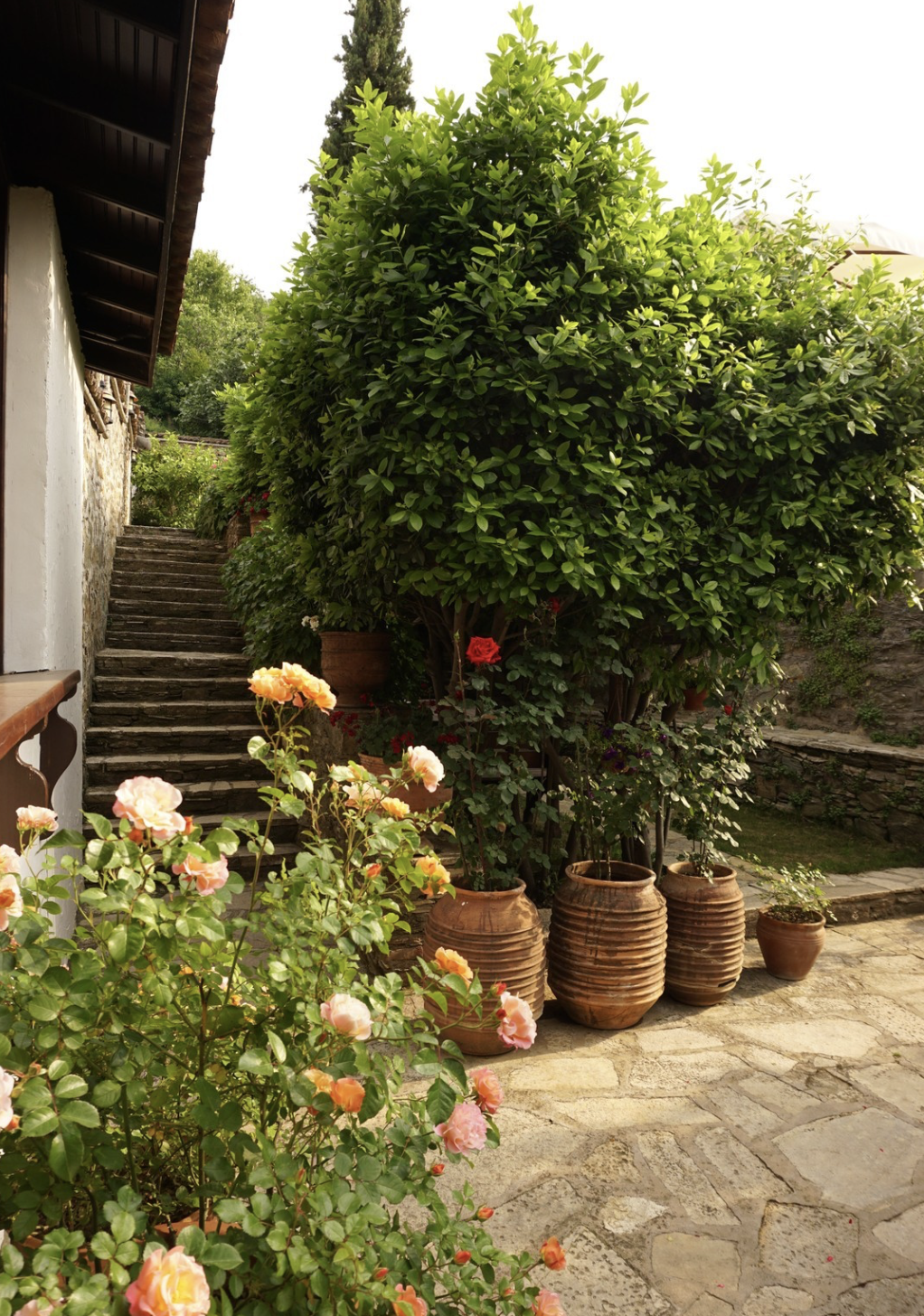 Screenshot 2025-03-16 at 3.08.29 PM.png