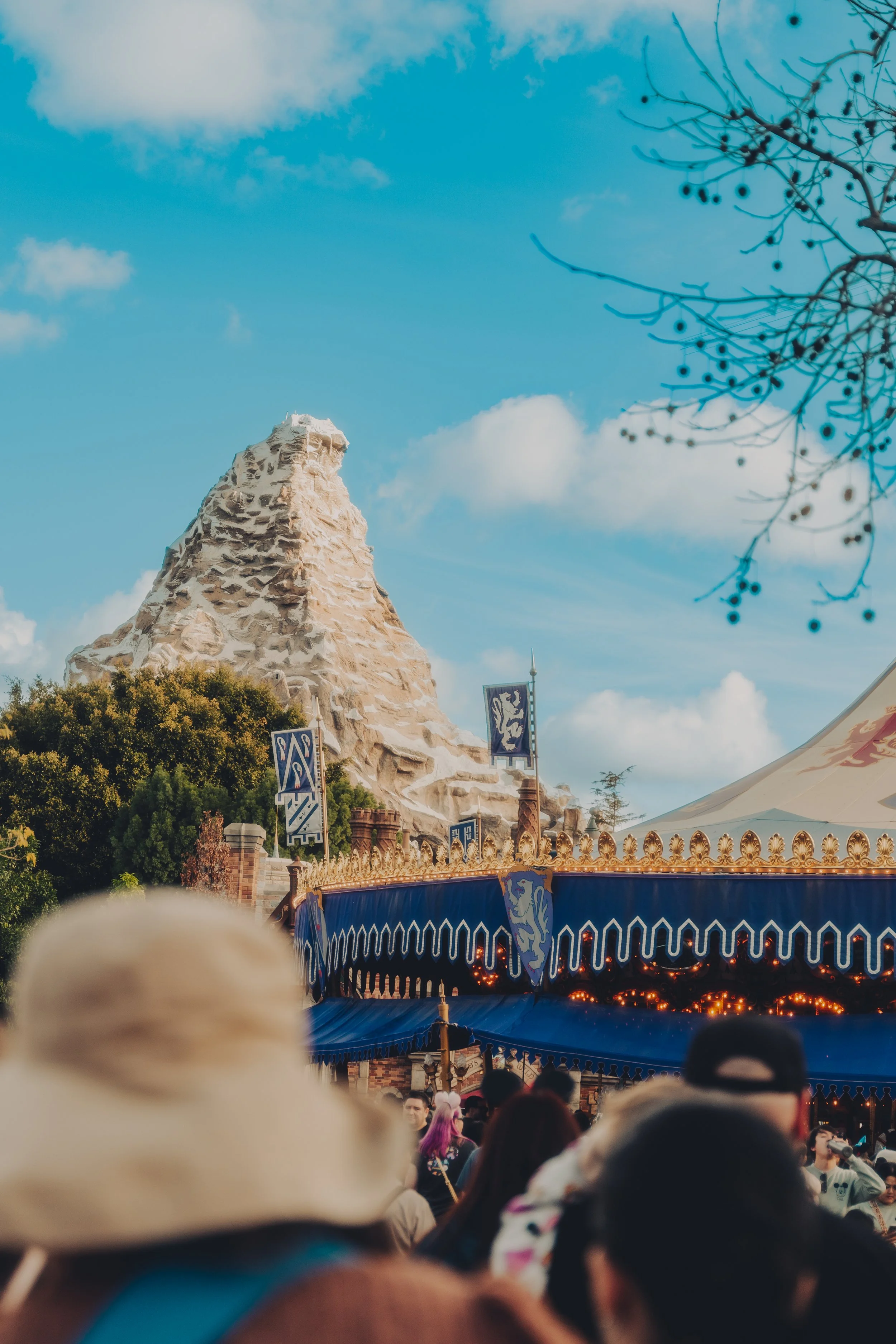 Crowd of people at an amusement park with a carousel and the Matterhorn in the background during the day.