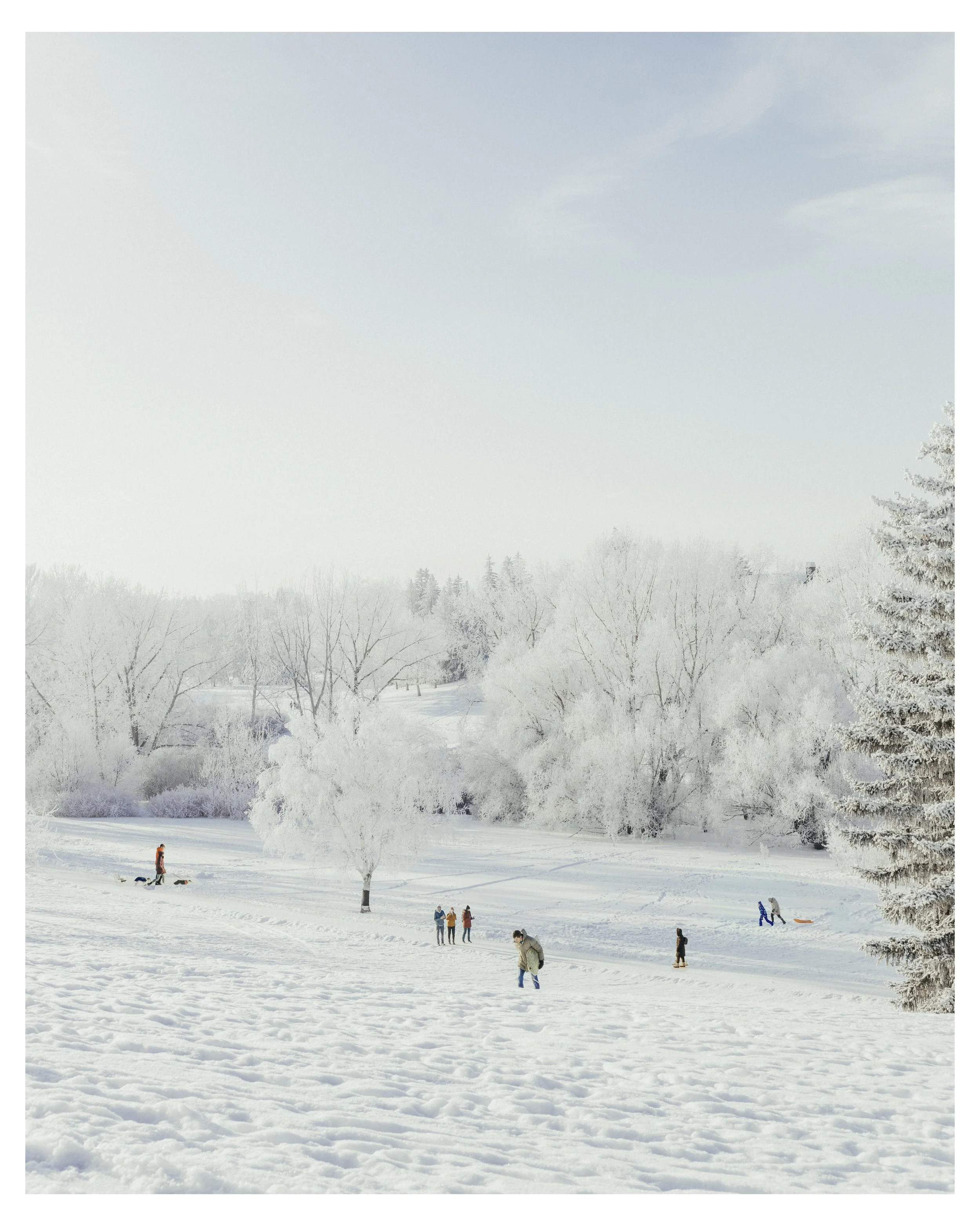 4K4A1730-Edit copy.jpg