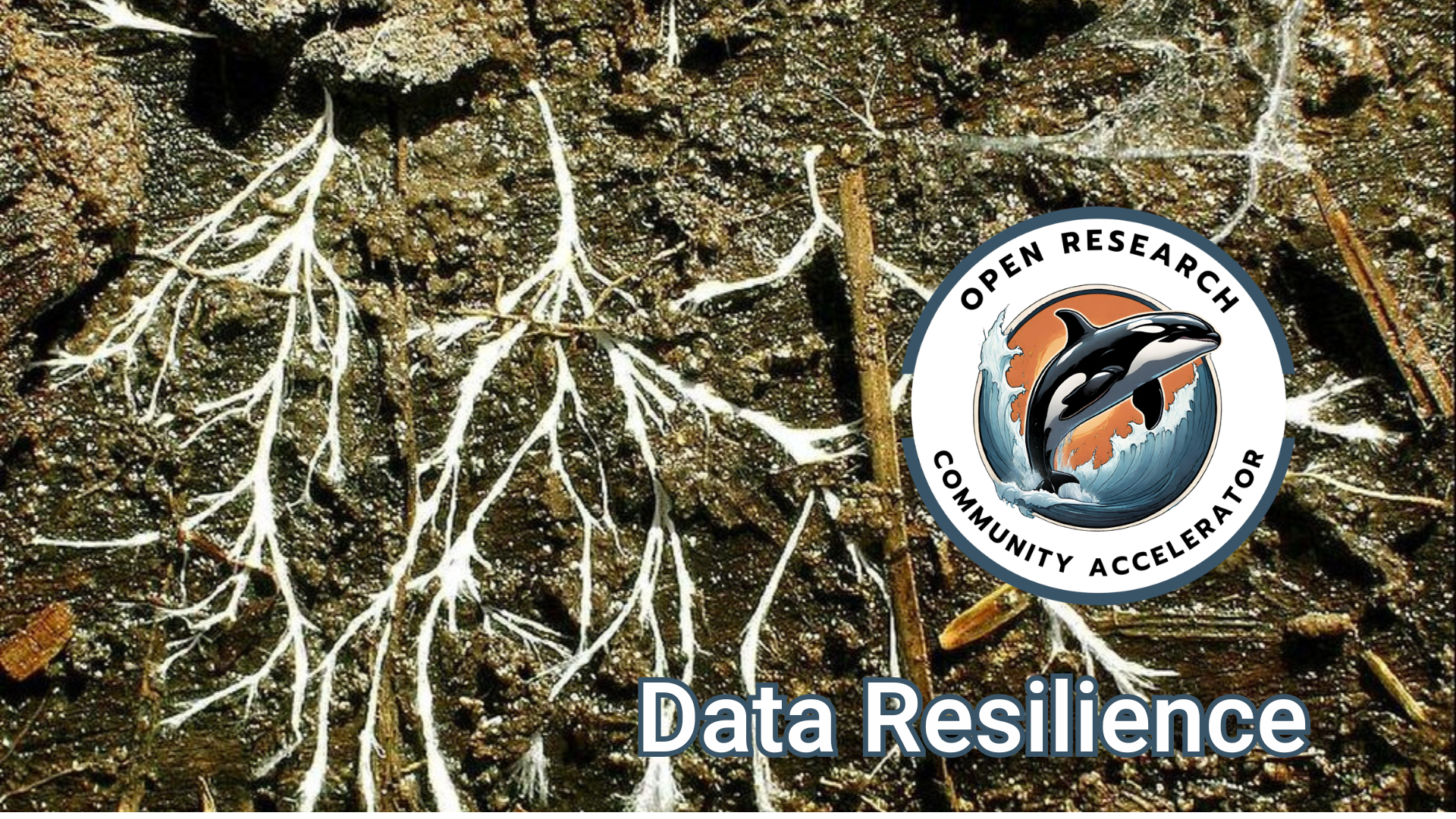 Nurturing a Dynamic &amp; Coordinated Data Resilience Community