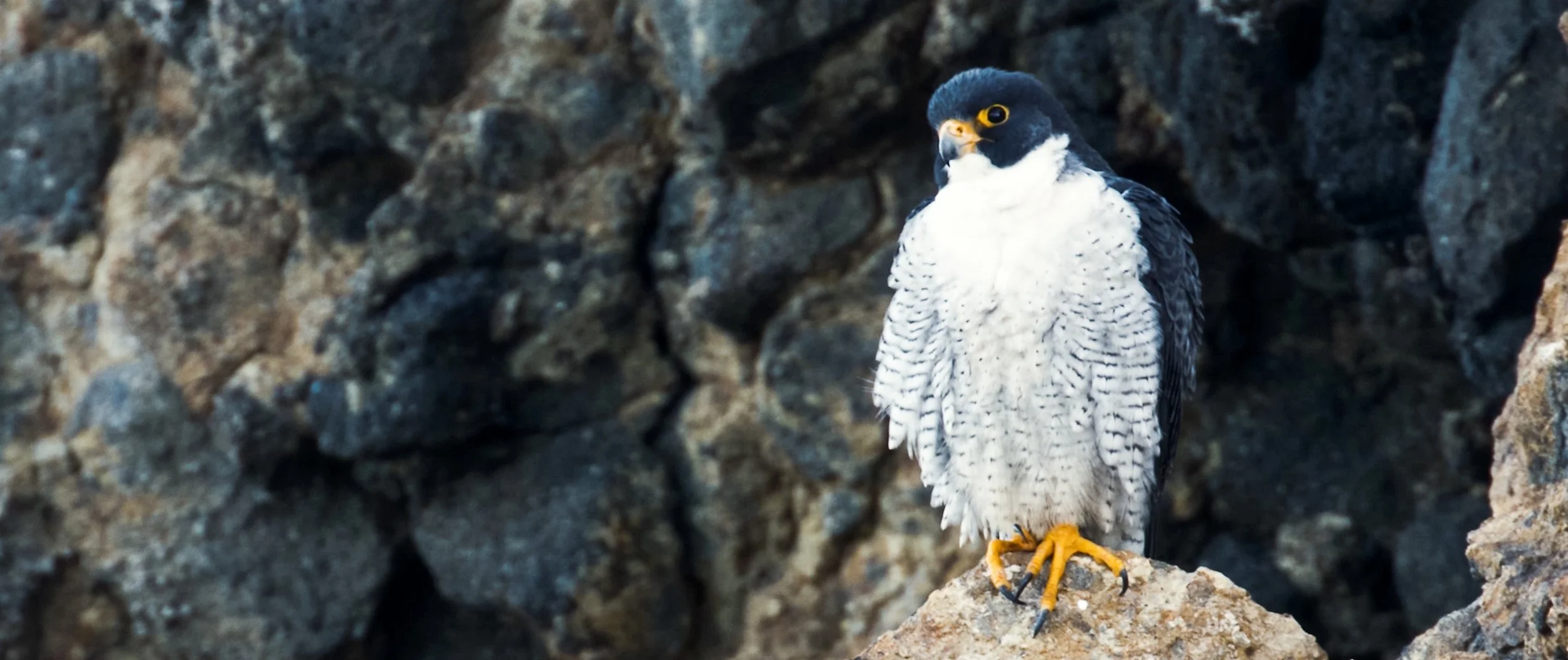 Screen Shot 2022-09-14 at 2.20.10 PM.jpg