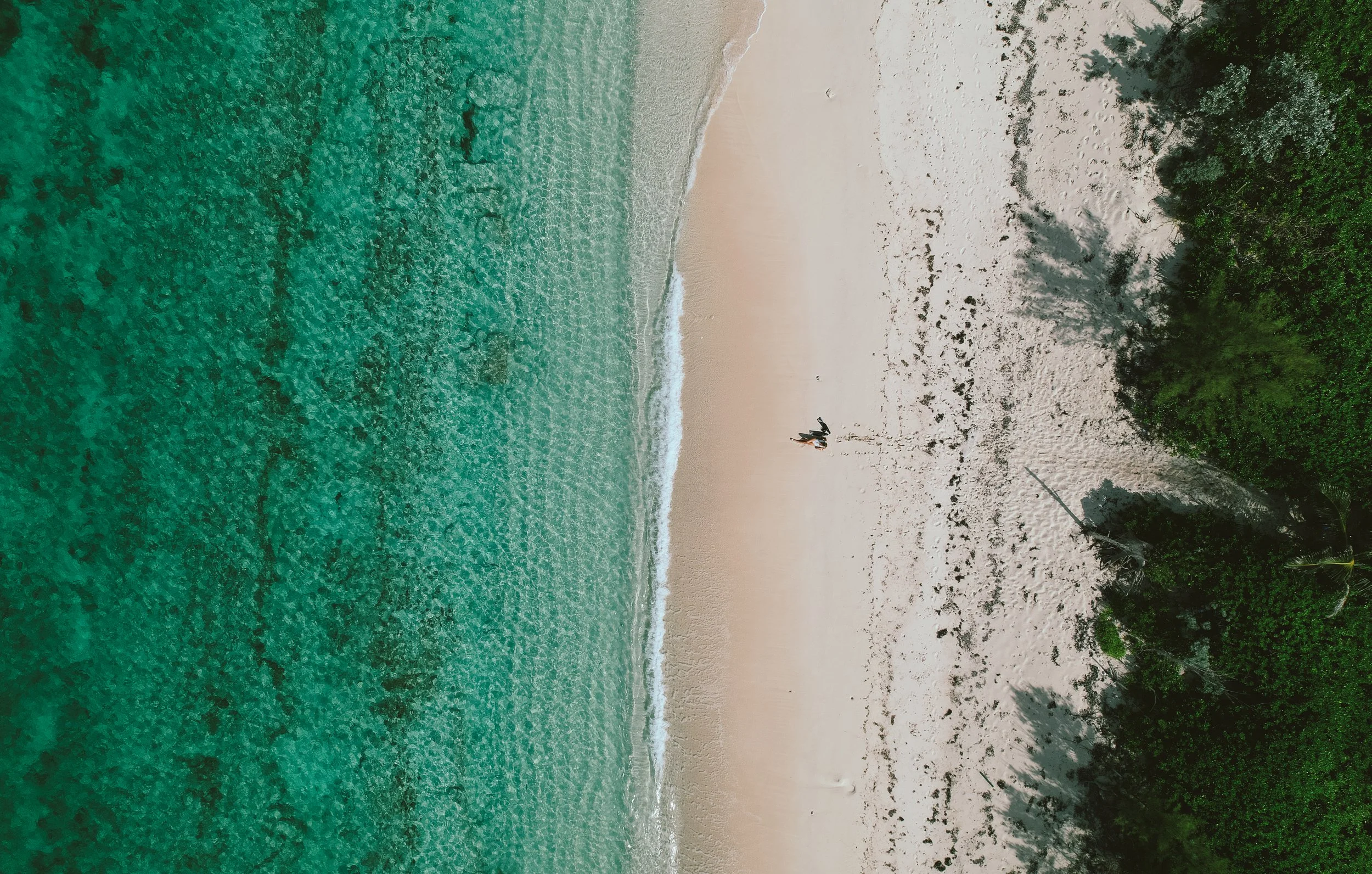 DJI_0012.jpg