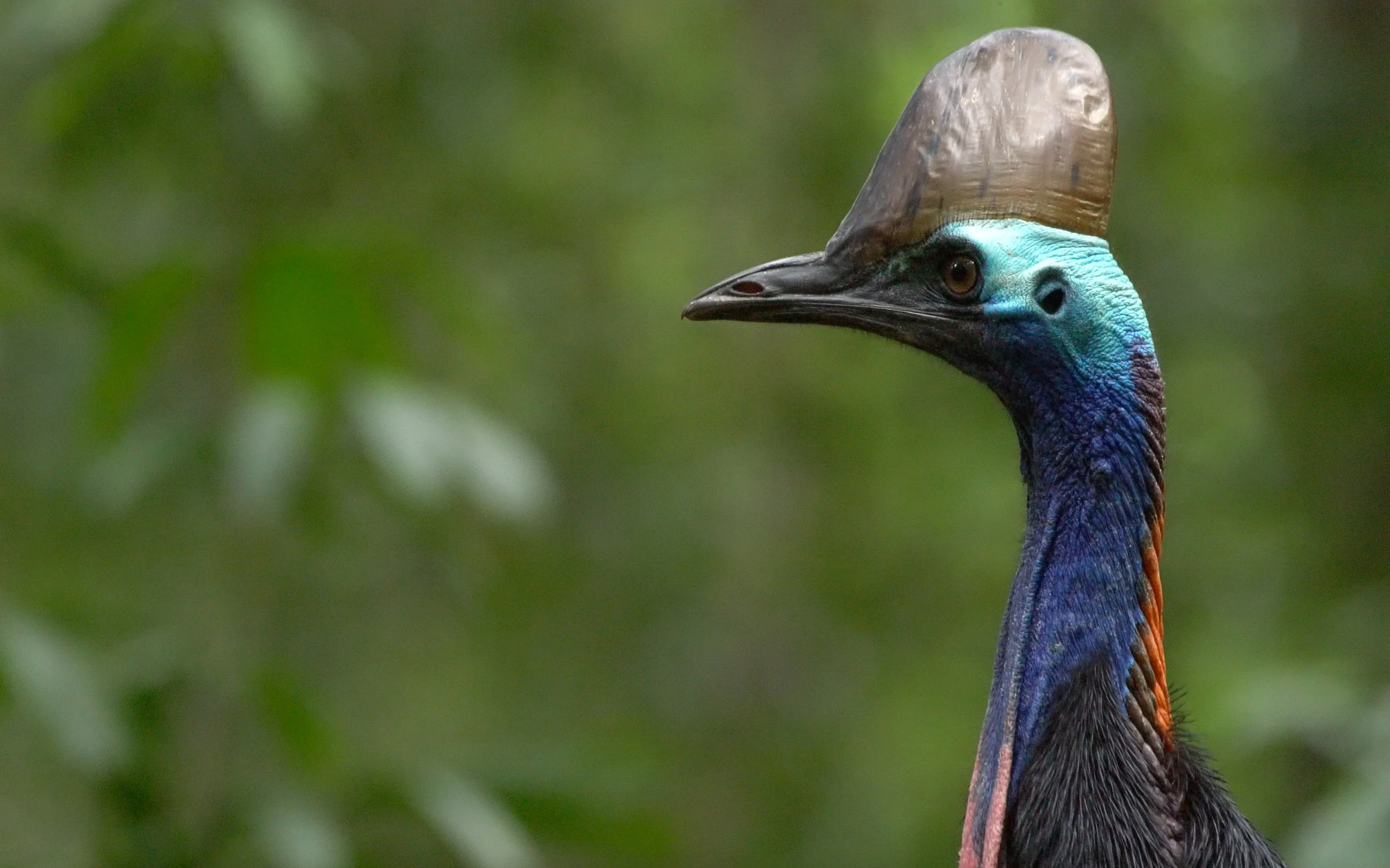 Screen Shot 2017-08-02 at 4.19.25 PM.jpg