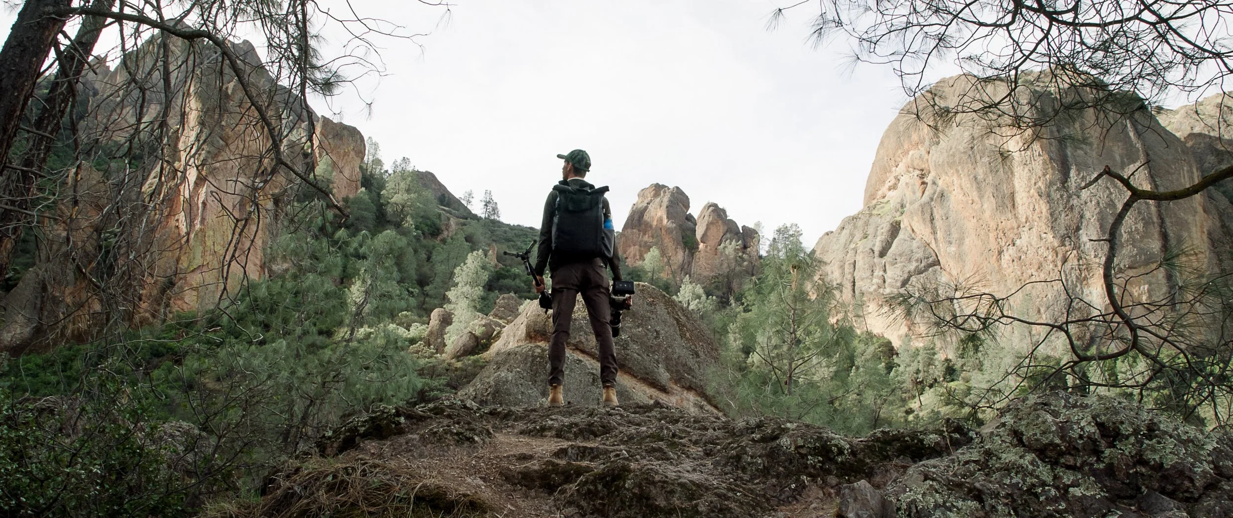 Screen Shot 2022-09-14 at 2.55.20 PM.jpg