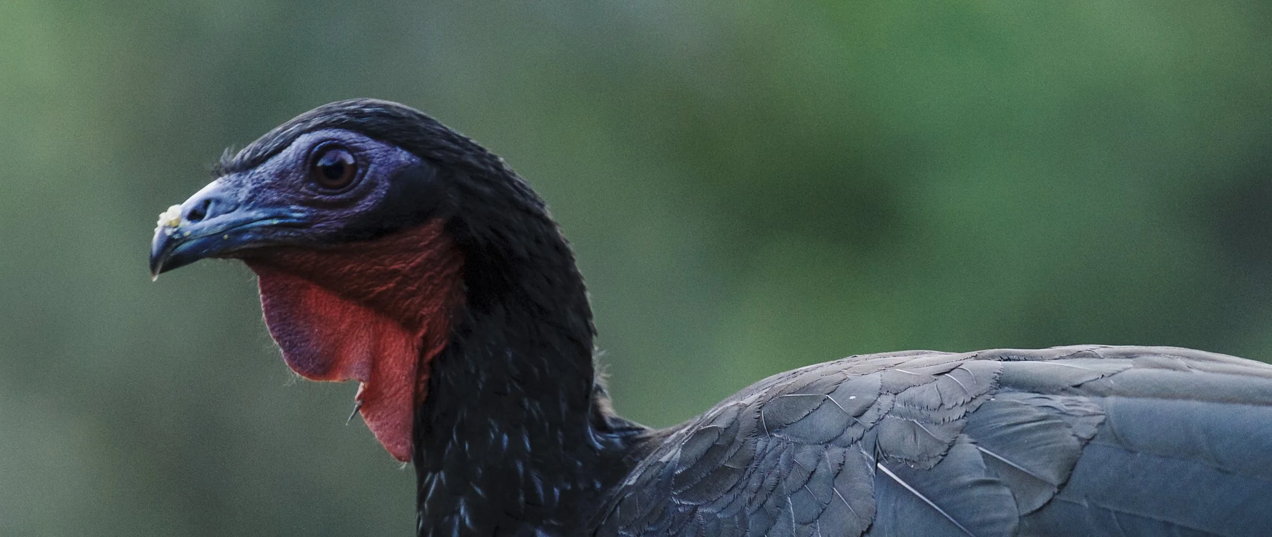 Screen Shot 2022-09-14 at 1.14.04 PM.jpg