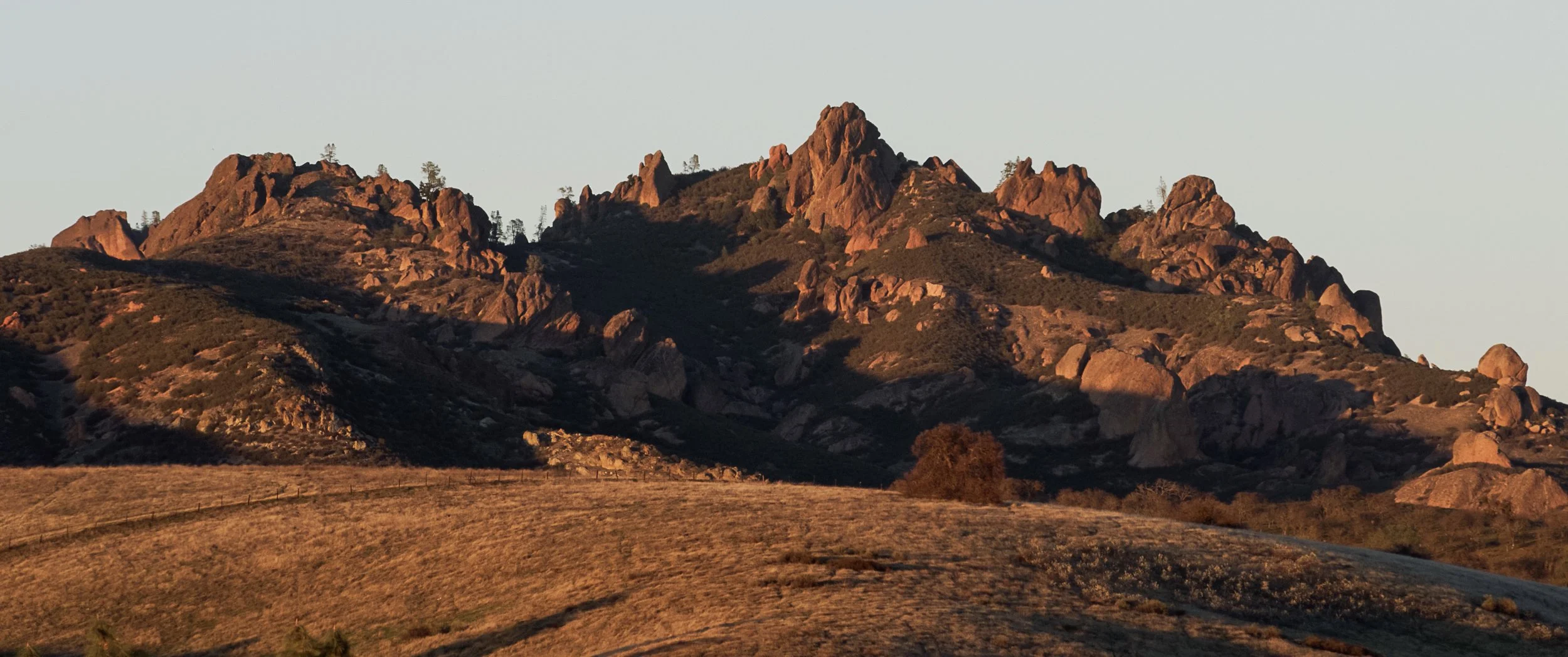 Screen Shot 2022-09-14 at 2.53.11 PM.jpg