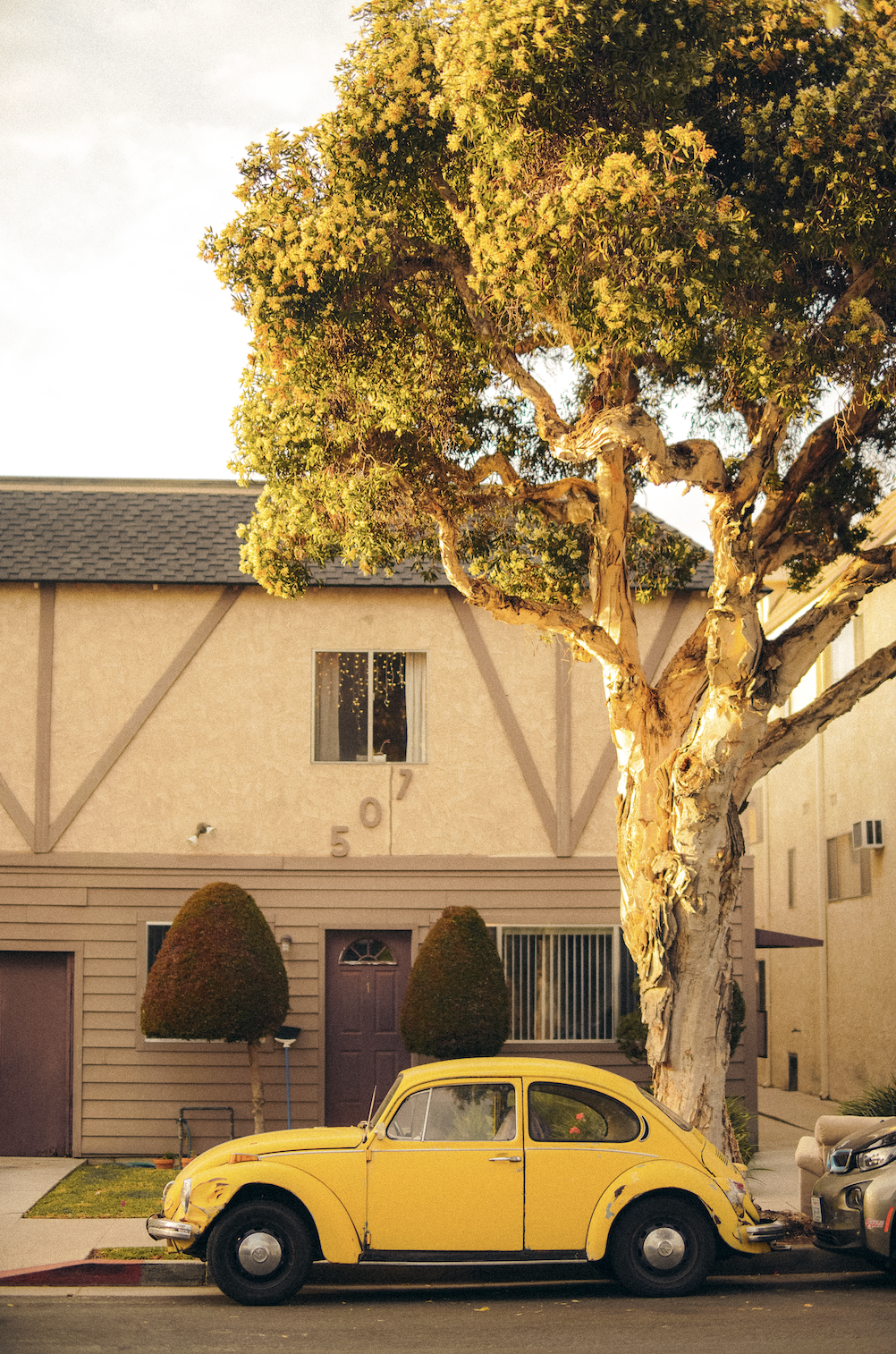 Screenshot 2024-01-26 at 12.56.35 PM.png