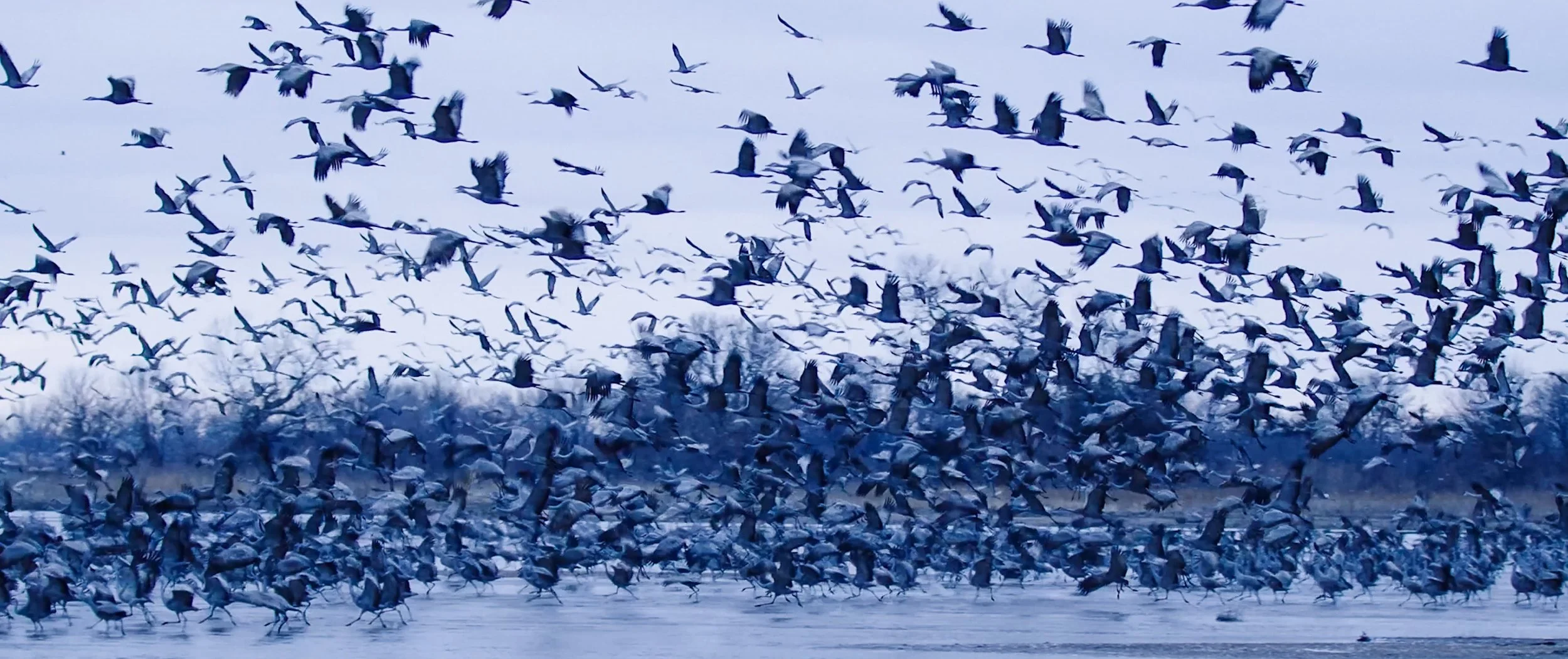 Screen Shot 2022-09-14 at 2.48.17 PM.jpg