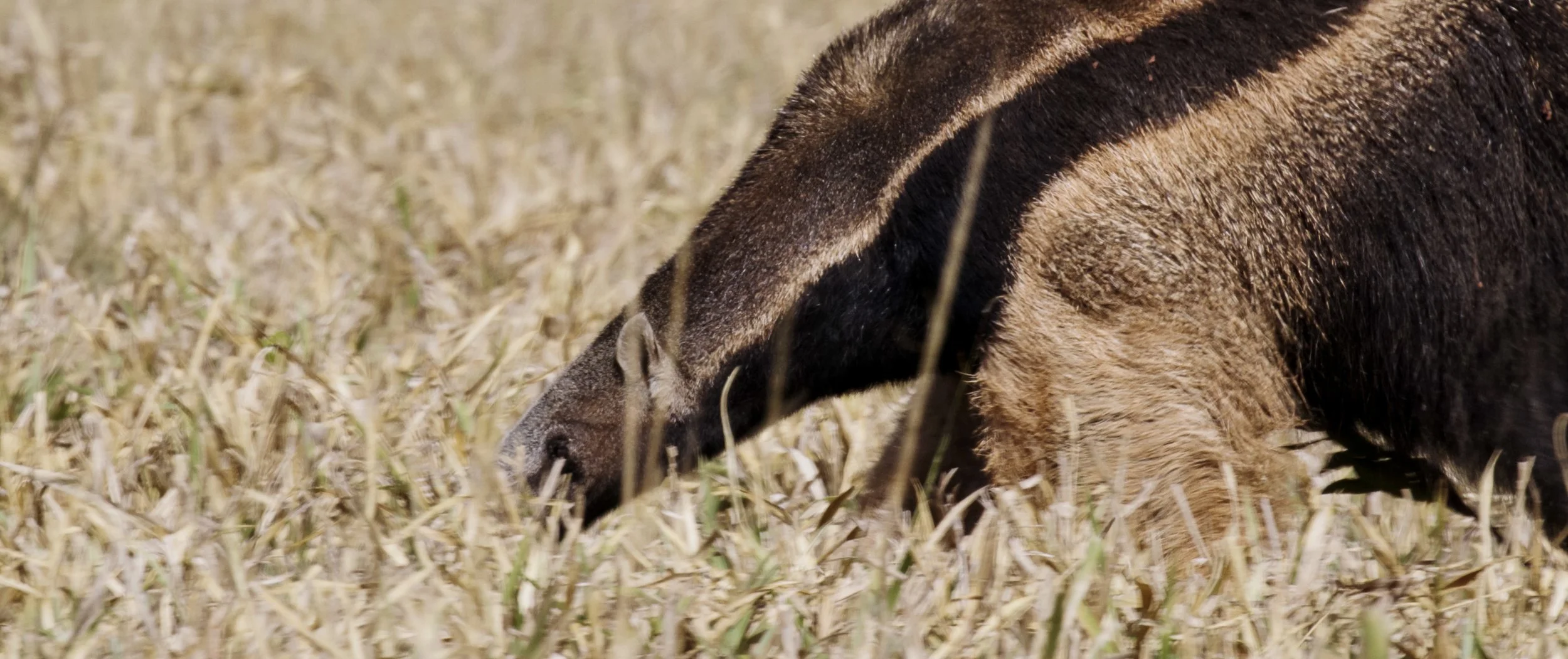 Screen Shot 2022-09-14 at 1.09.55 PM.jpg