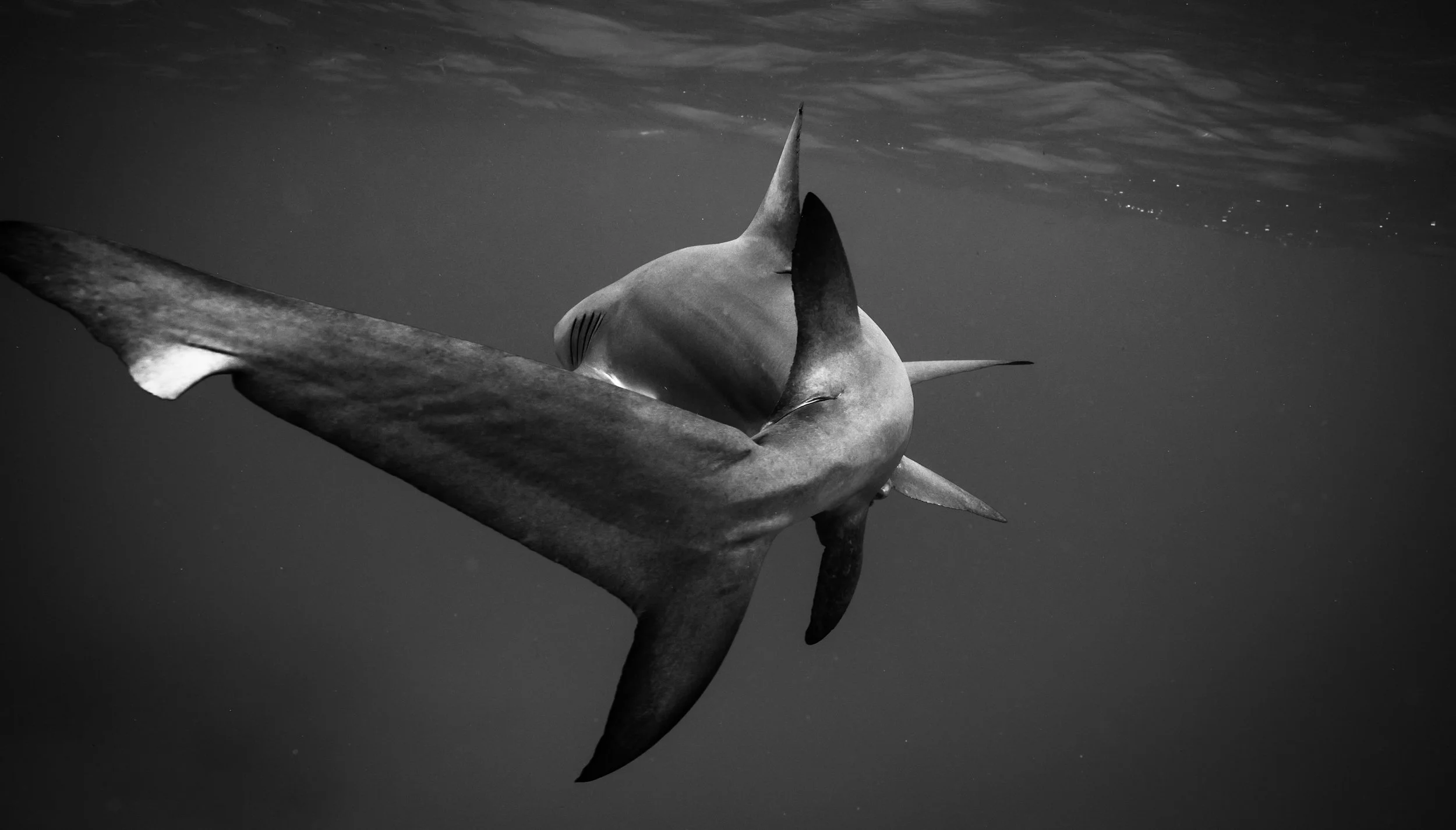 076A9159.jpg