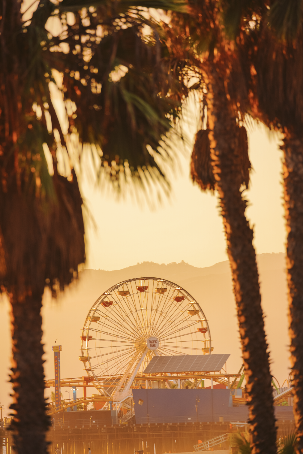 Screenshot 2024-01-26 at 12.57.06 PM.png