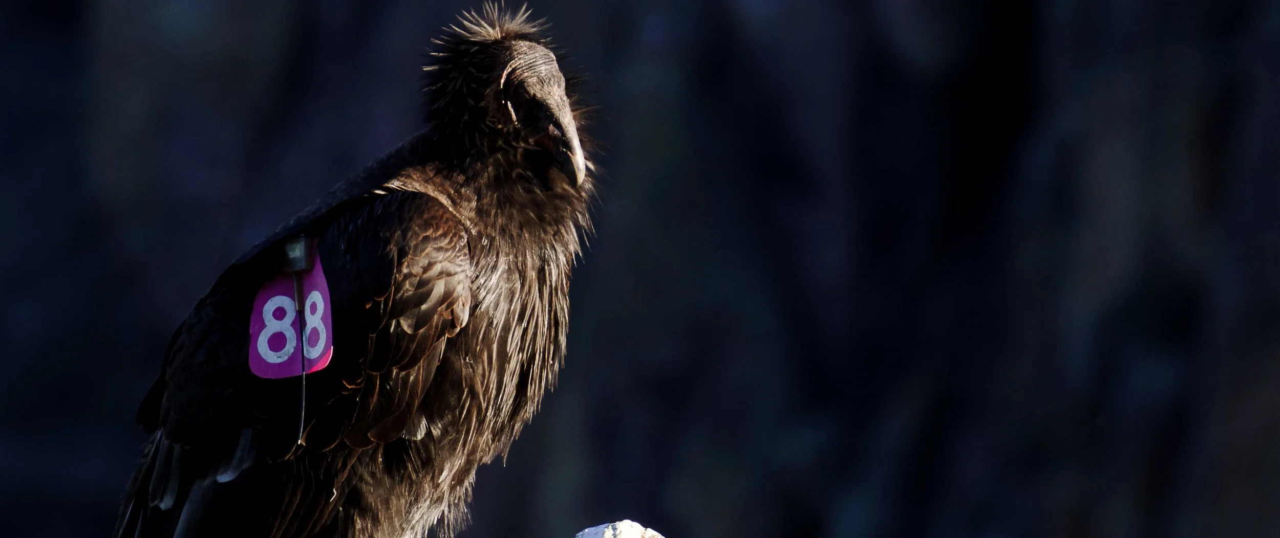 Screen Shot 2022-09-14 at 2.57.20 PM.jpg