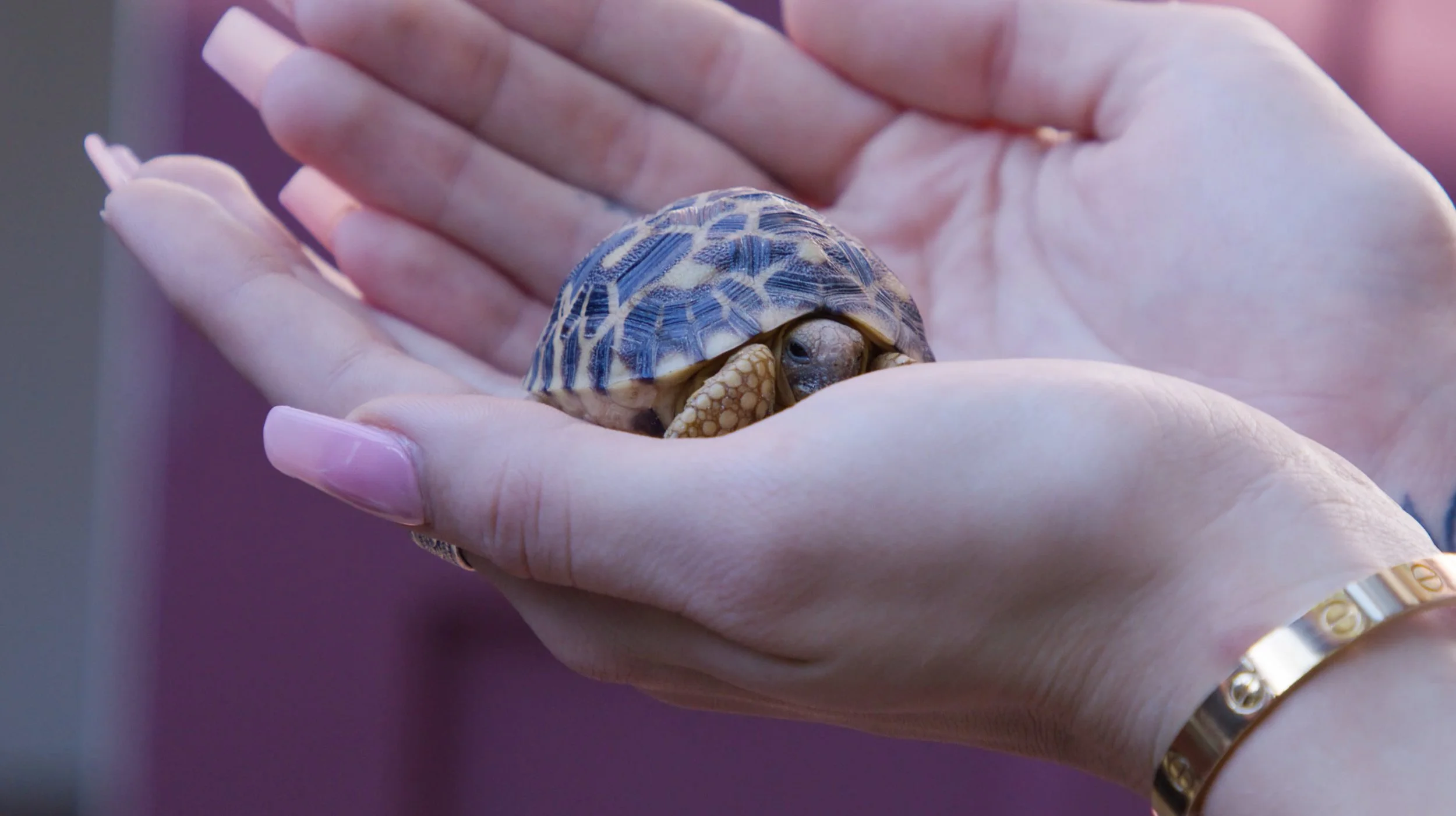 Screen Shot 2021-01-22 at 11.51.32 AM.jpg