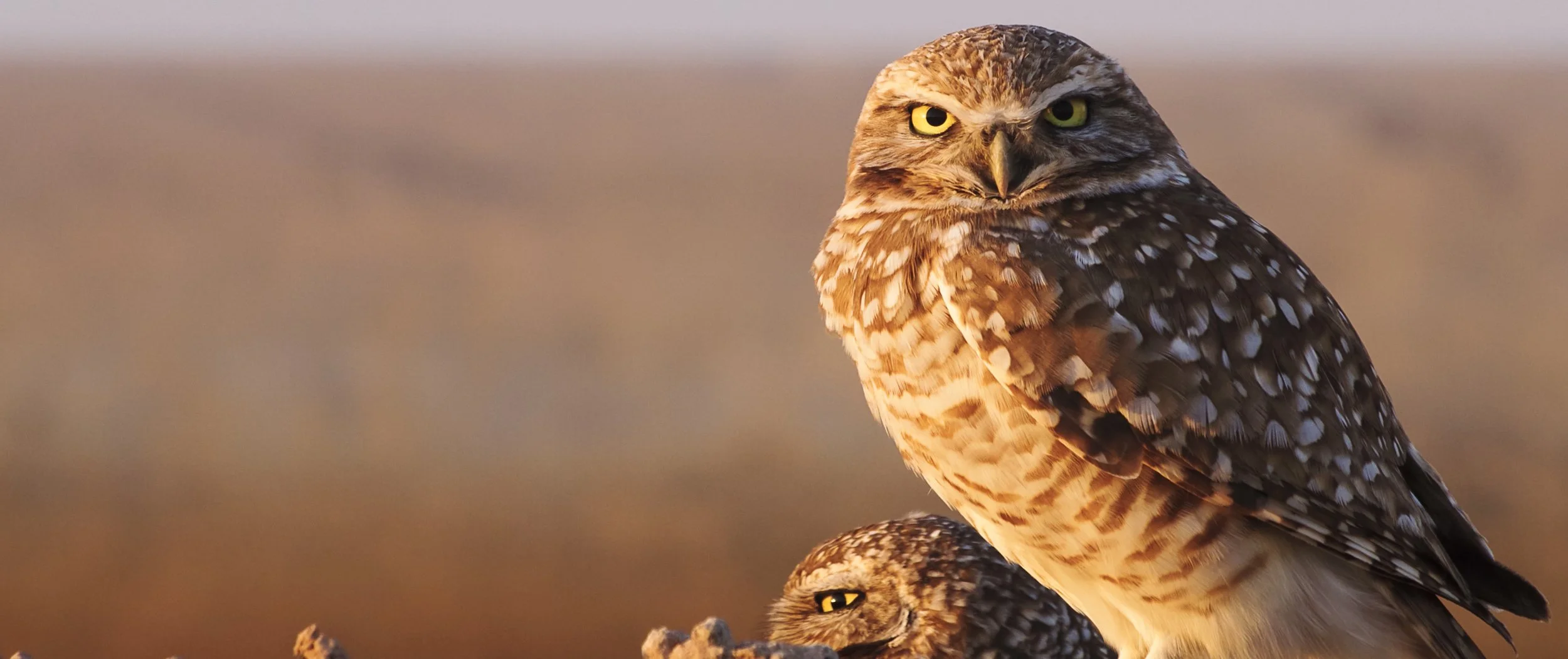 Screen Shot 2022-09-14 at 1.10.49 PM.jpg