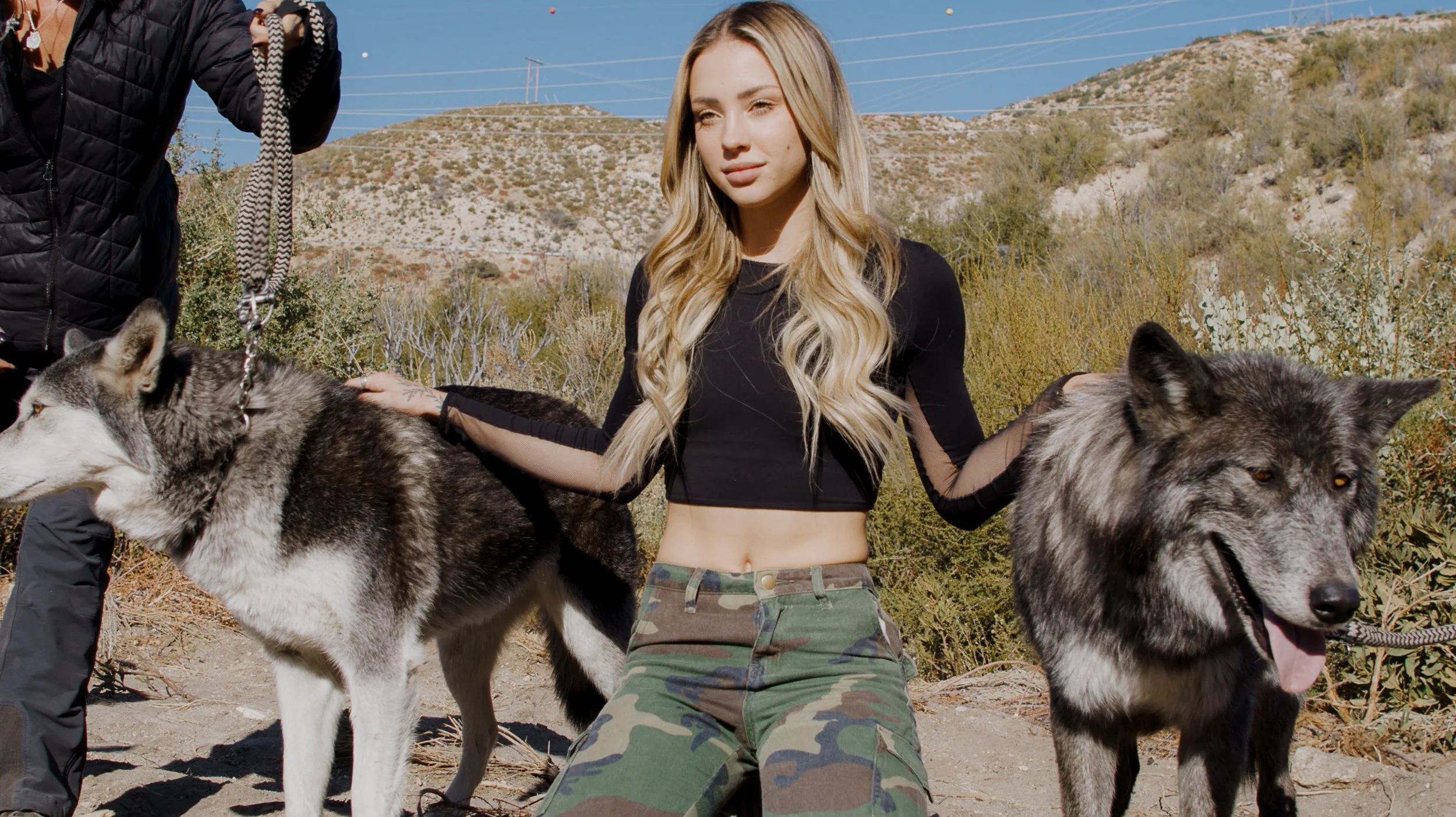 Screen Shot 2021-01-22 at 11.38.29 AM.jpg