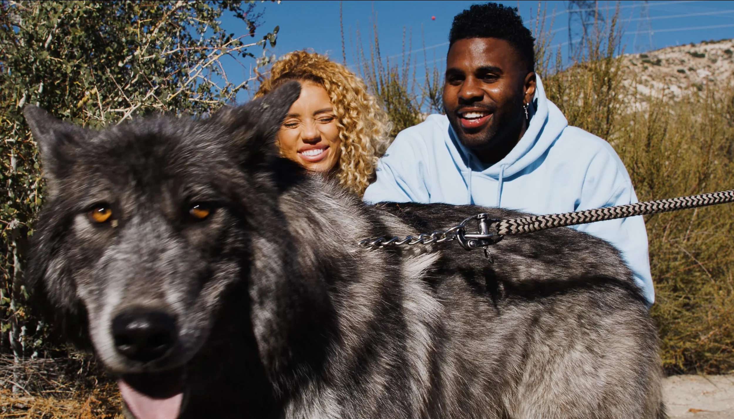 Screen Shot 2021-01-22 at 11.37.06 AM.jpg