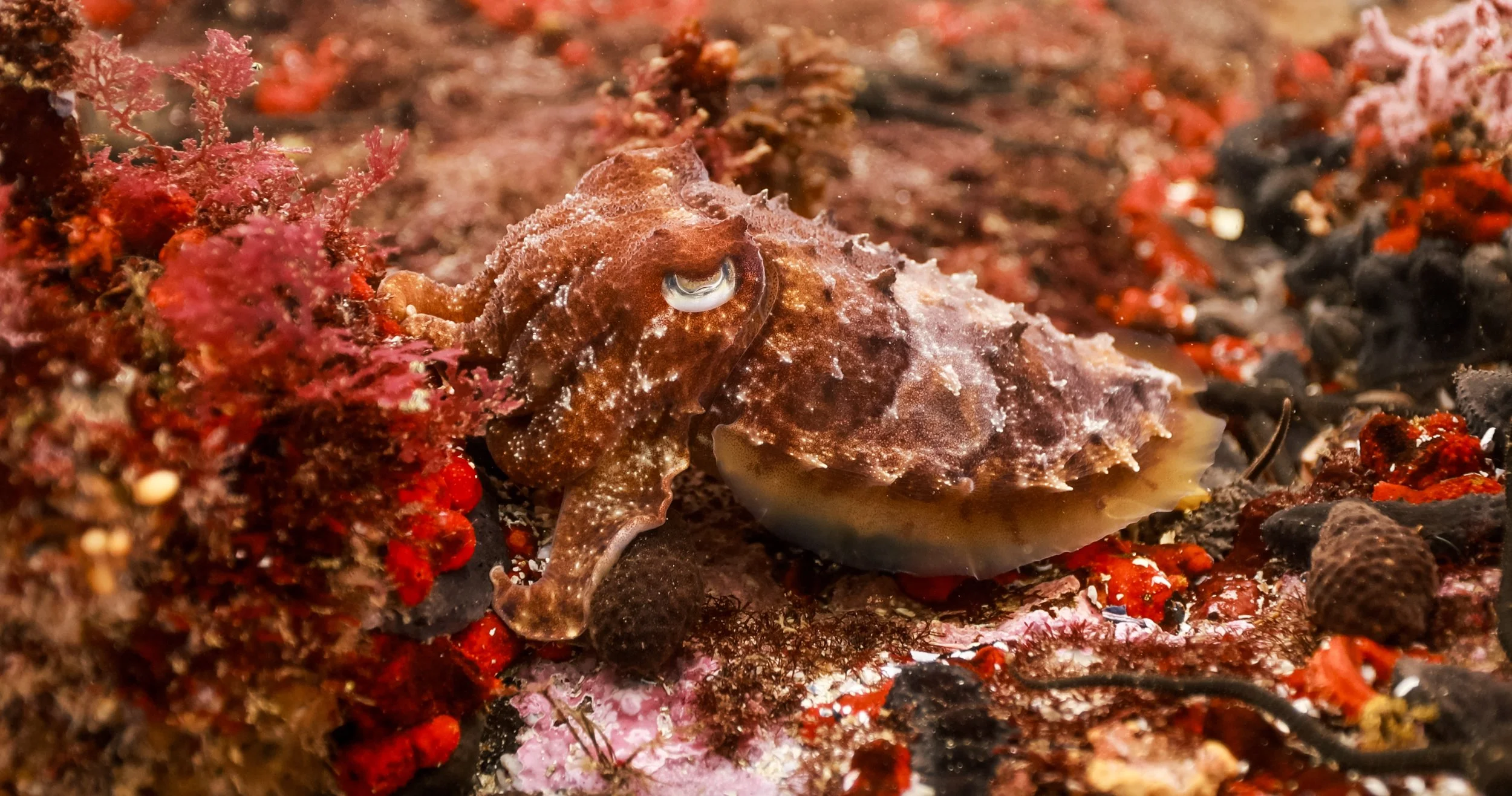 Screen Shot 2023-03-10 at 10.25.53 AM.JPG