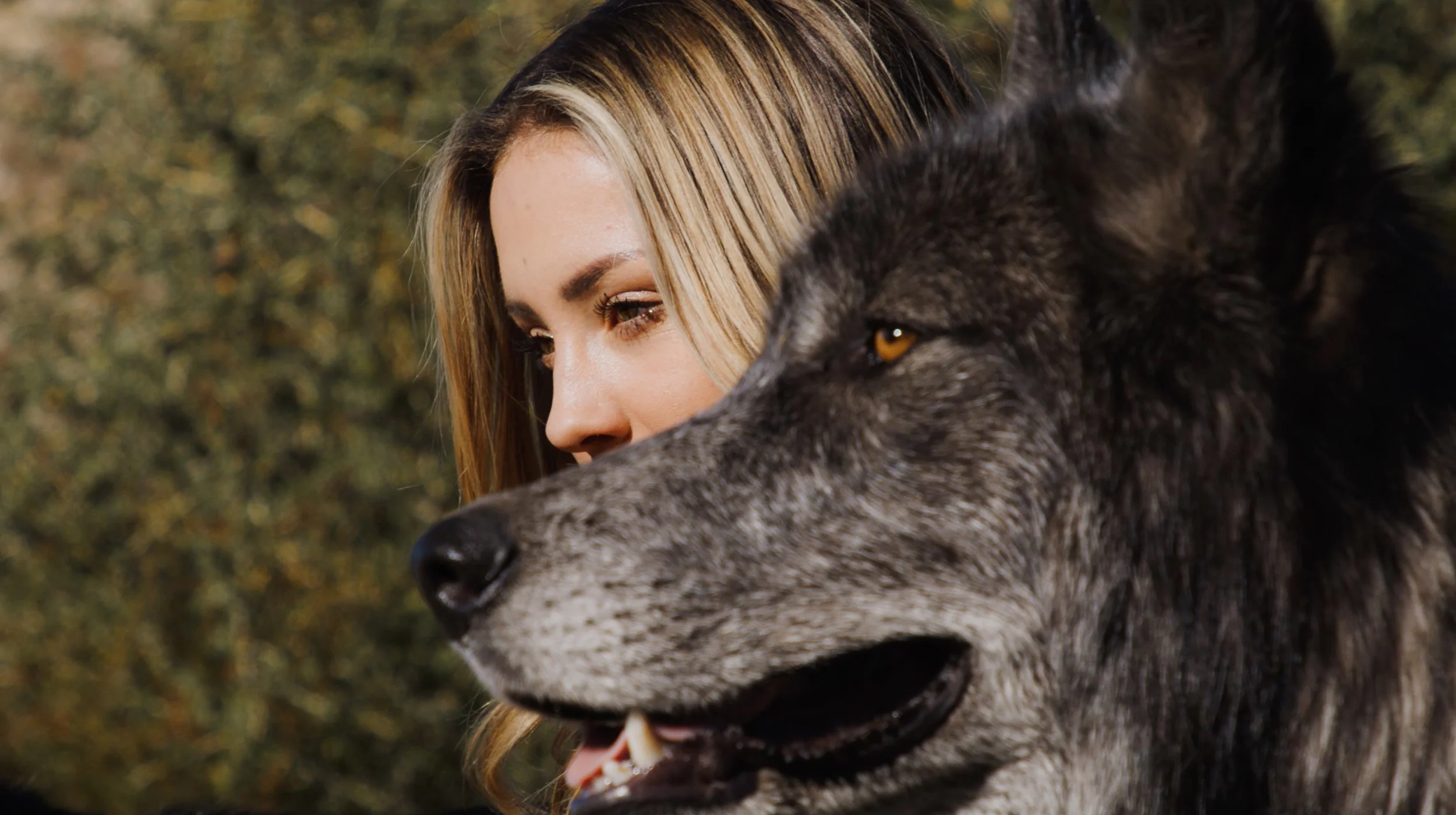 Screen Shot 2021-01-22 at 11.39.01 AM.jpg