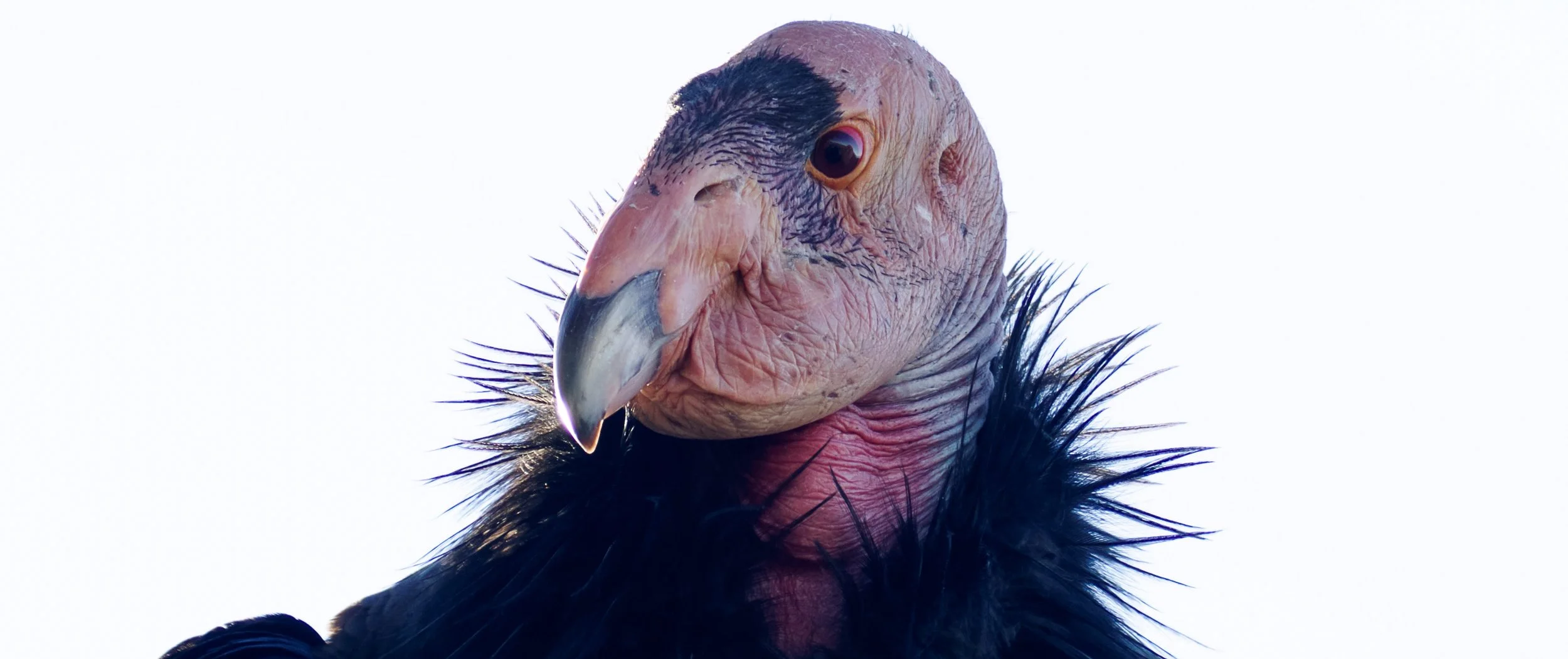 Screen Shot 2022-09-14 at 3.03.35 PM.jpg