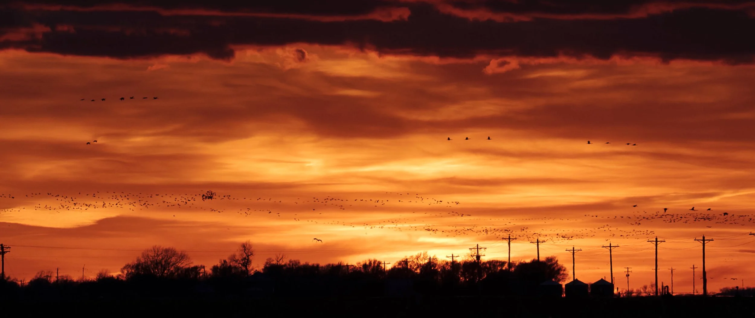 Screen Shot 2022-09-14 at 1.09.02 PM.jpg