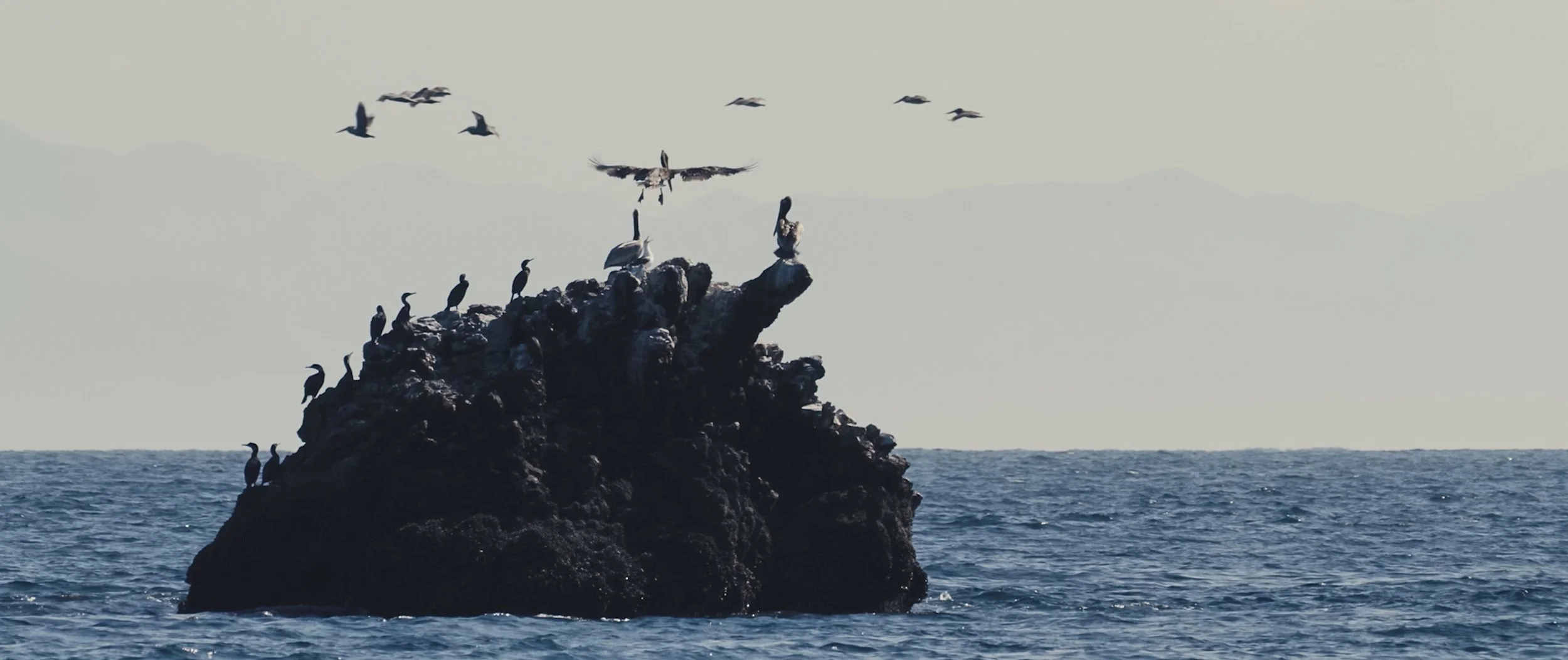 Screen Shot 2022-09-14 at 2.28.26 PM.jpg