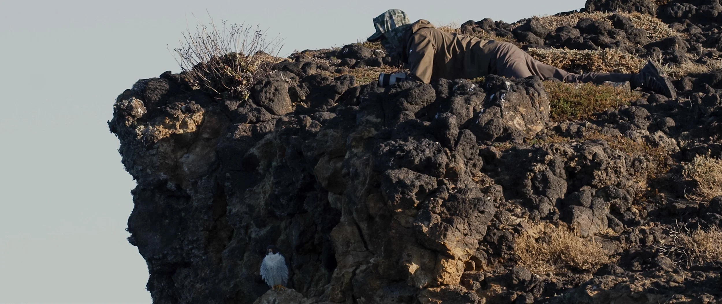 Screen Shot 2022-09-14 at 2.19.50 PM.jpg