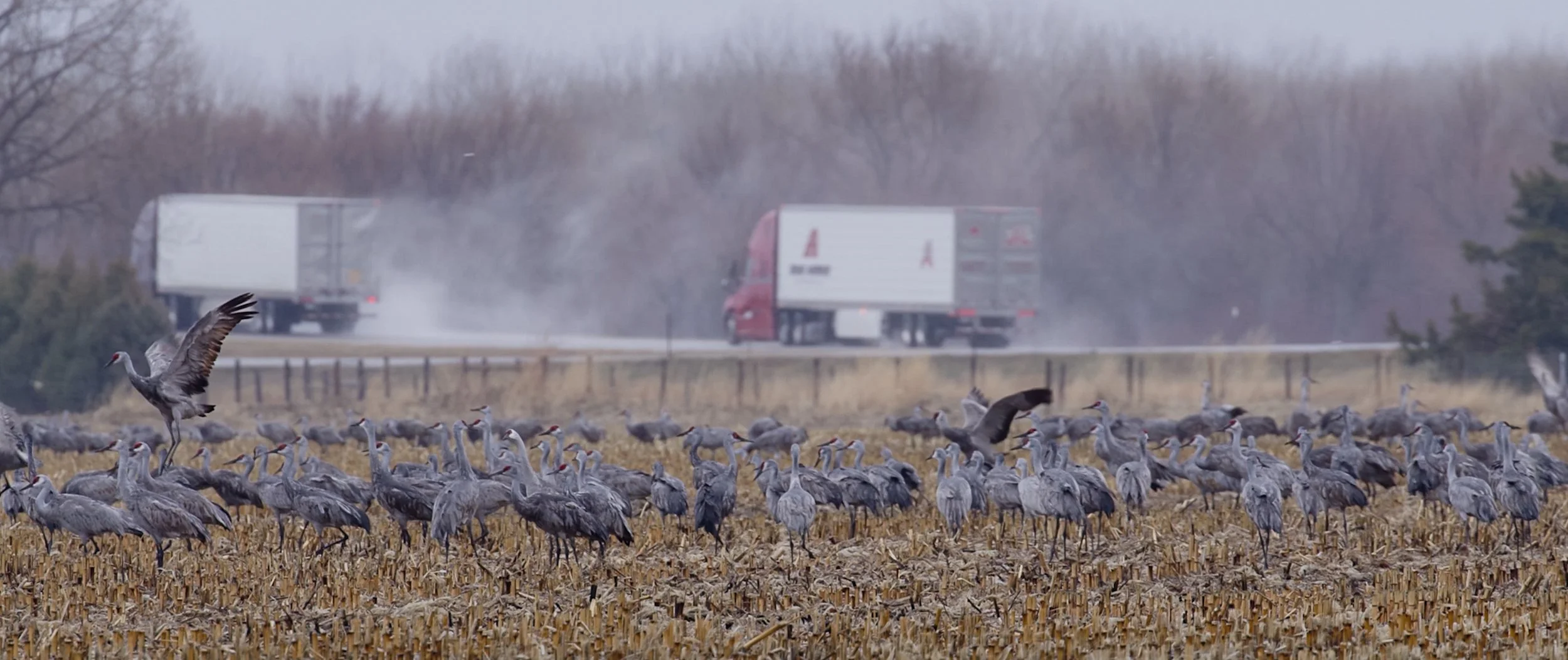 Screen Shot 2022-09-14 at 2.42.20 PM.jpg