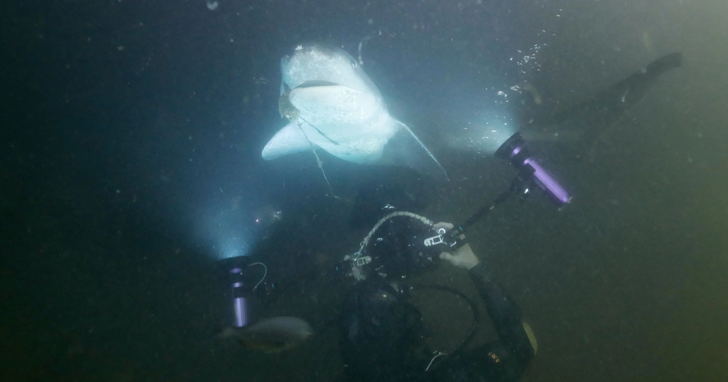 Screen Shot 2023-03-01 at 9.22.21 PM.jpg