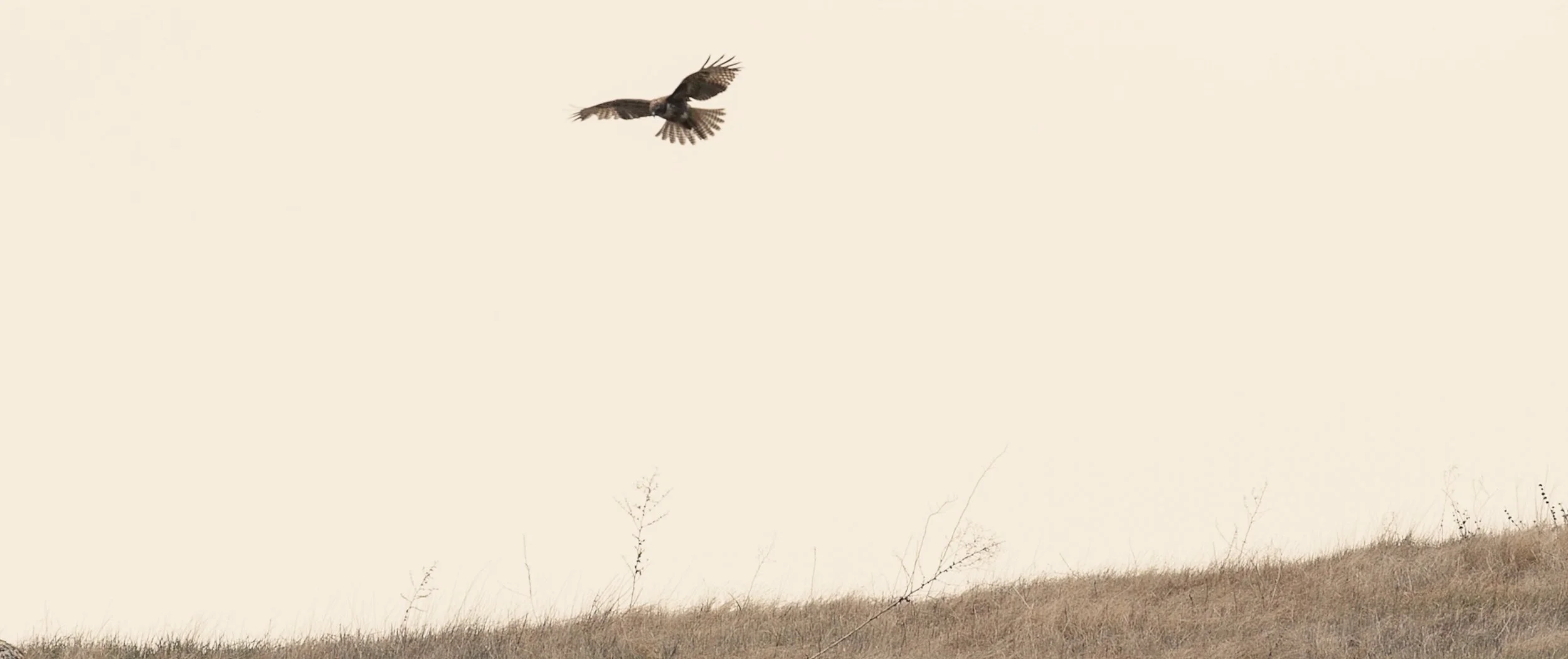 Screen Shot 2022-09-14 at 2.20.59 PM.jpg