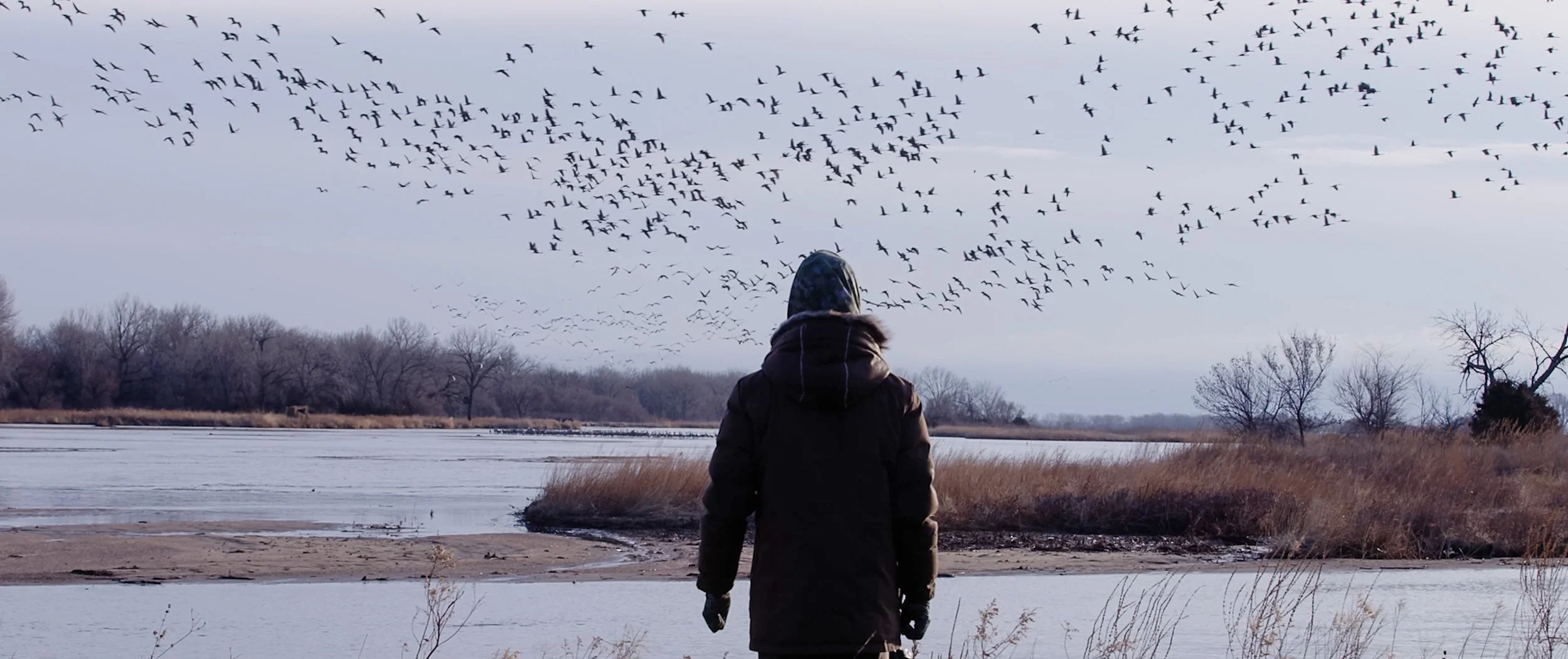 Screen Shot 2022-09-14 at 2.40.02 PM.jpg