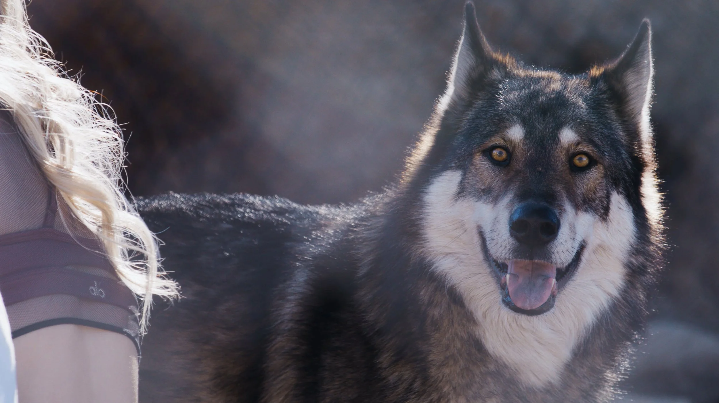 Screen Shot 2021-01-22 at 11.35.32 AM.jpg