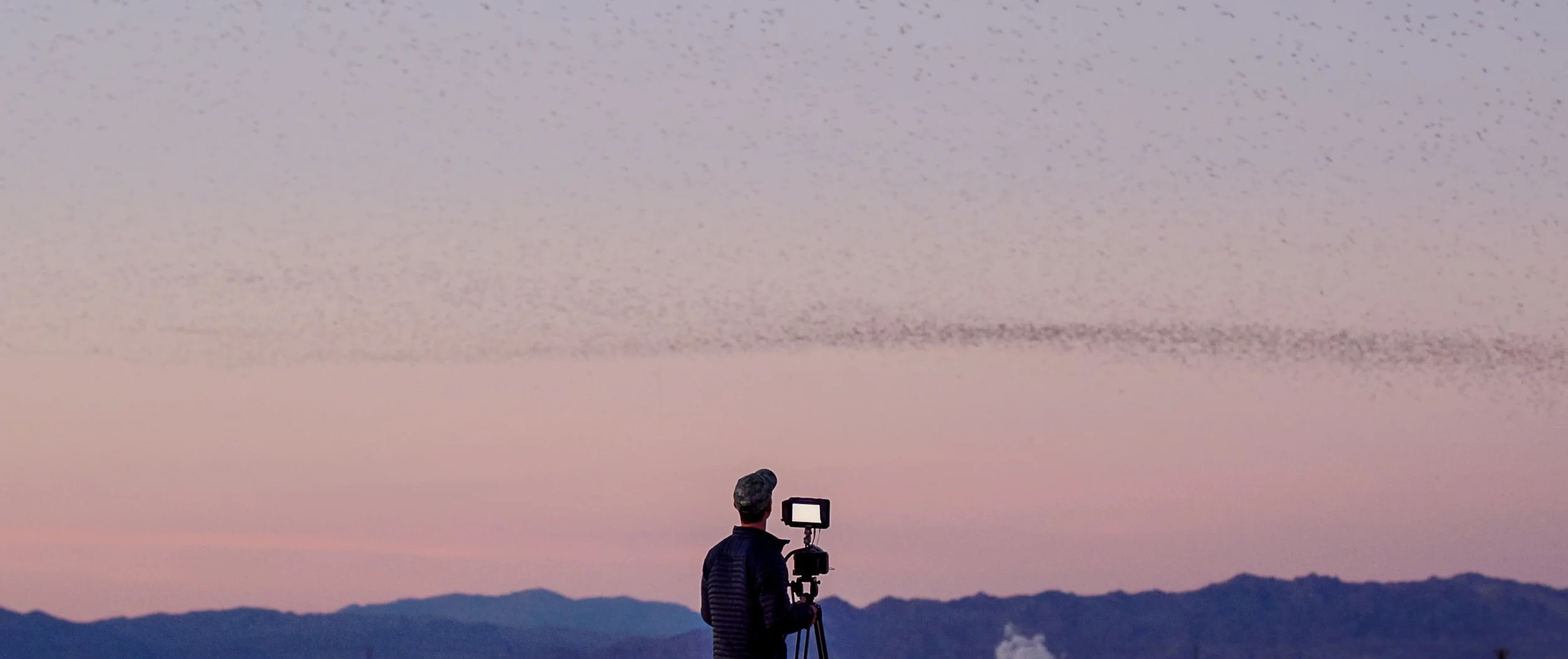 Screen Shot 2022-09-14 at 1.15.16 PM.jpg