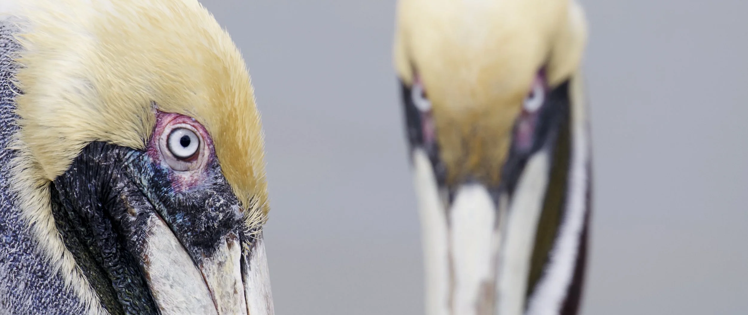 Screen Shot 2022-09-14 at 1.08.47 PM.jpg