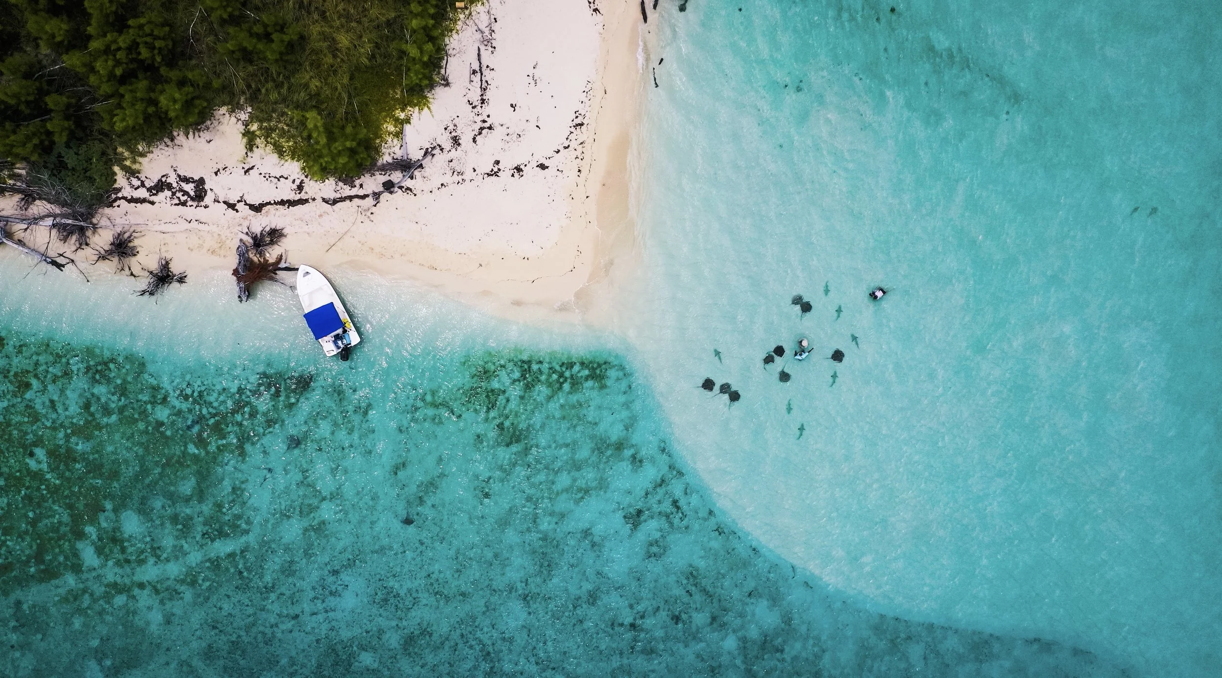 DJI_0009-2.jpg