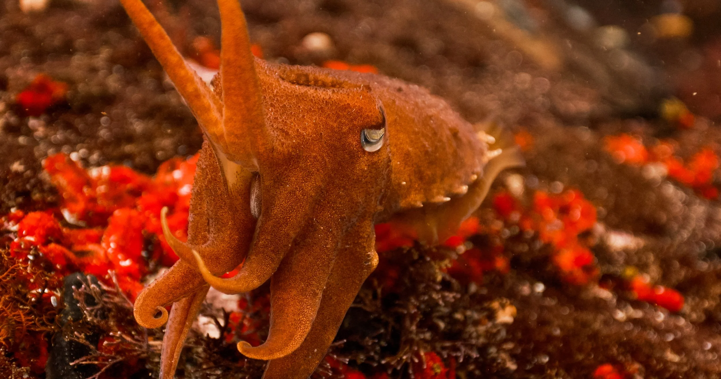 Screen Shot 2023-03-10 at 10.25.29 AM.JPG