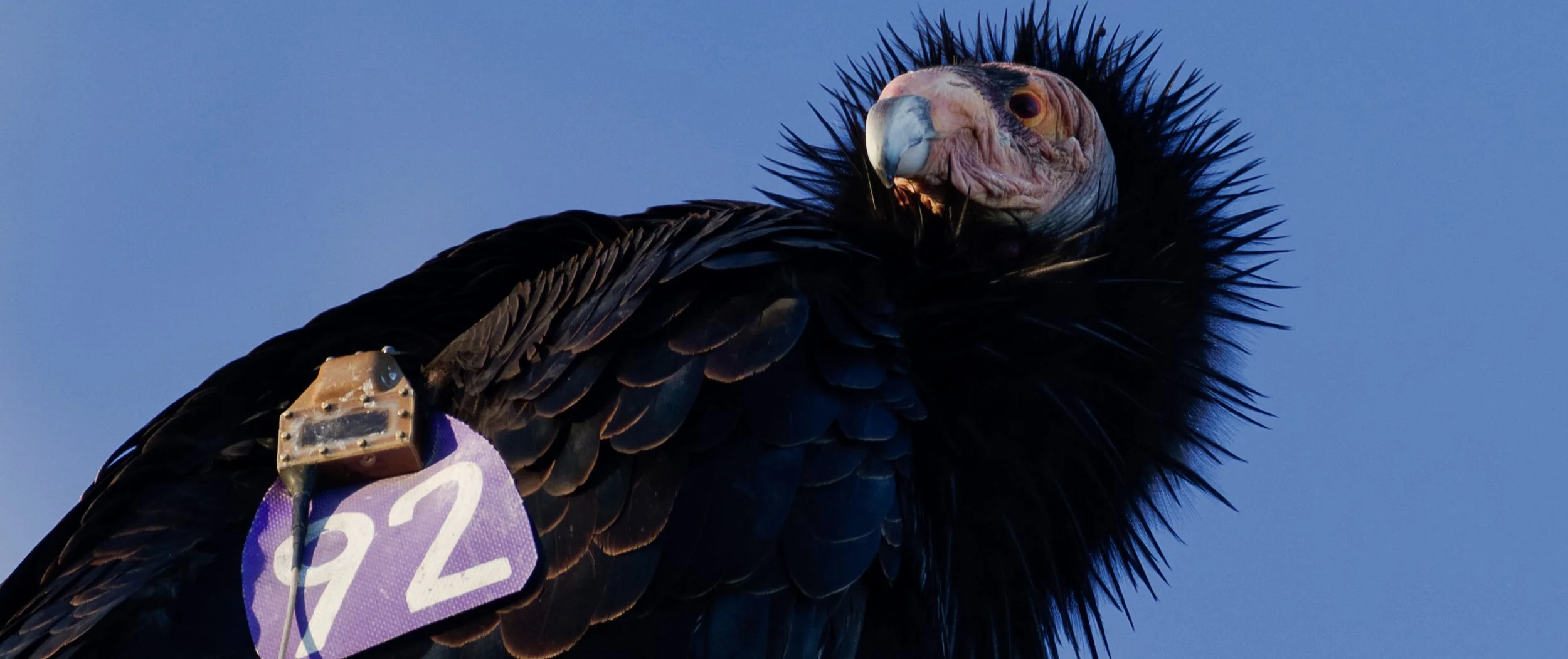 Screen Shot 2022-09-14 at 2.58.21 PM.jpg