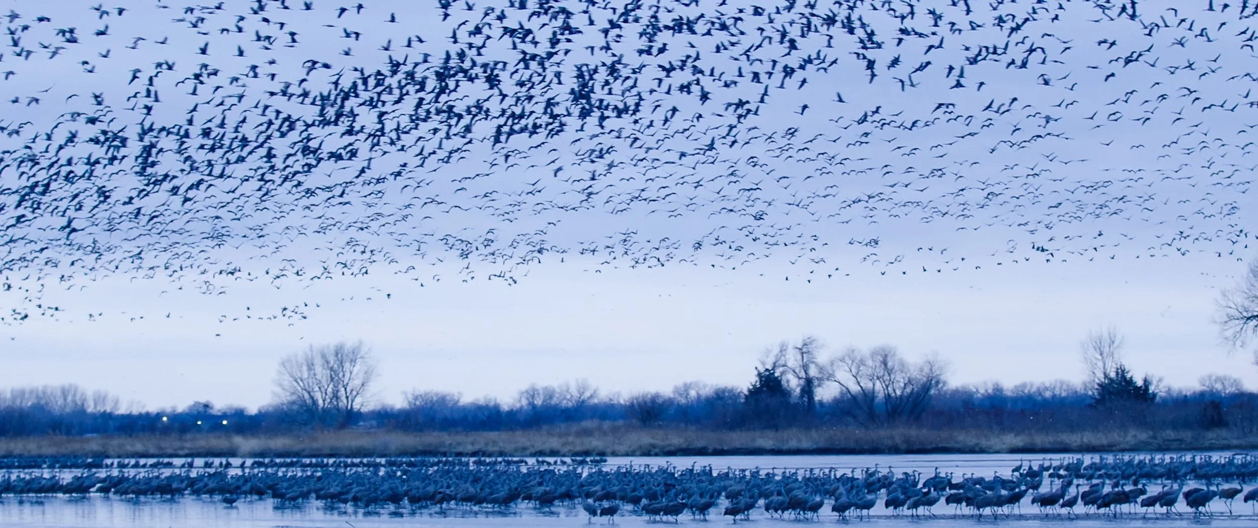 Screen Shot 2022-09-14 at 2.48.31 PM.jpg