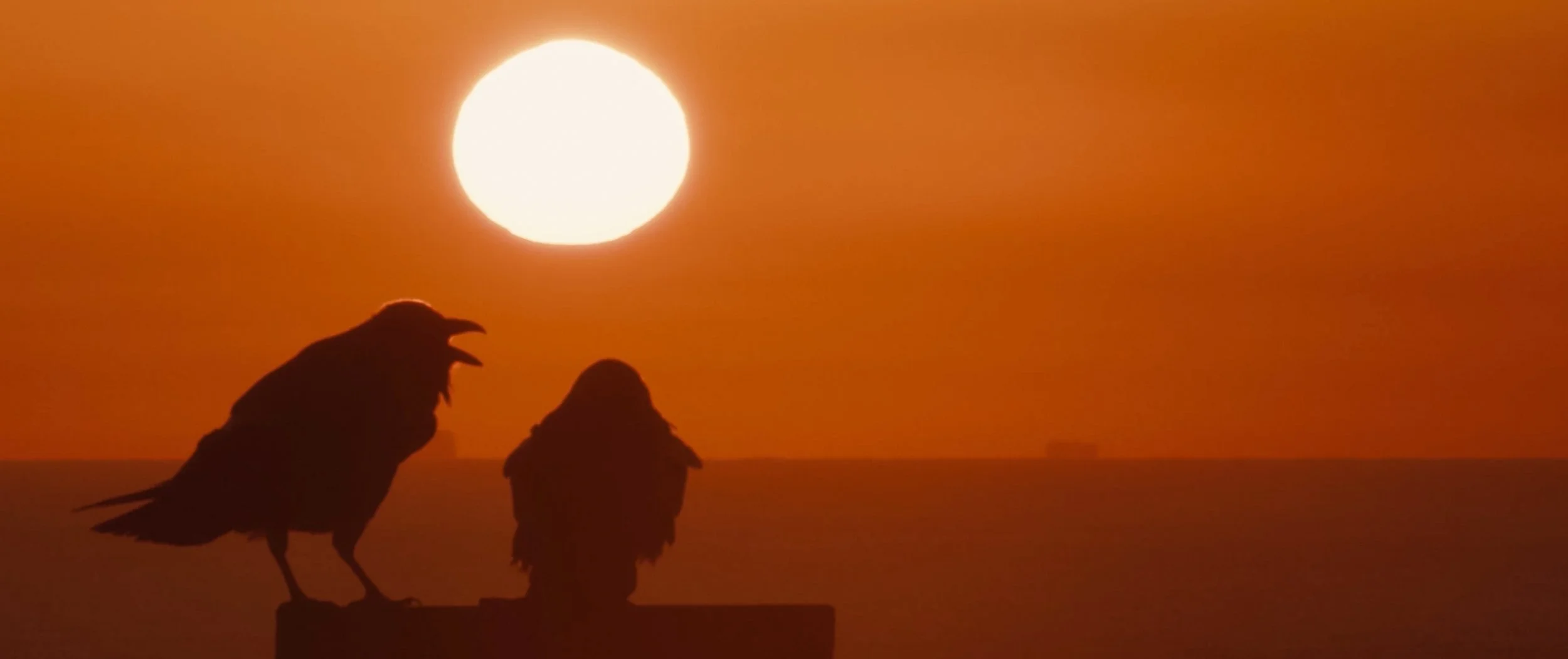 Screen Shot 2022-09-14 at 2.25.30 PM.jpg