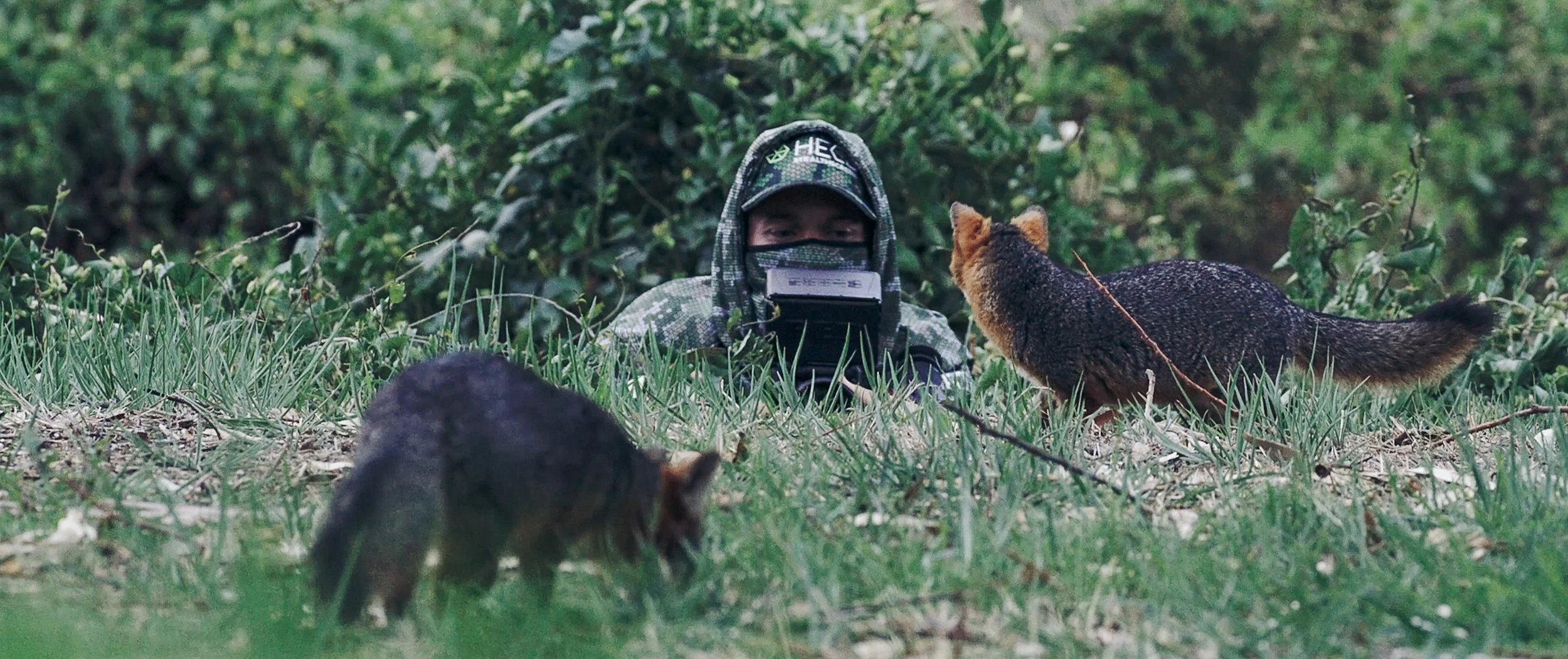 Screen Shot 2022-09-14 at 2.23.12 PM.jpg