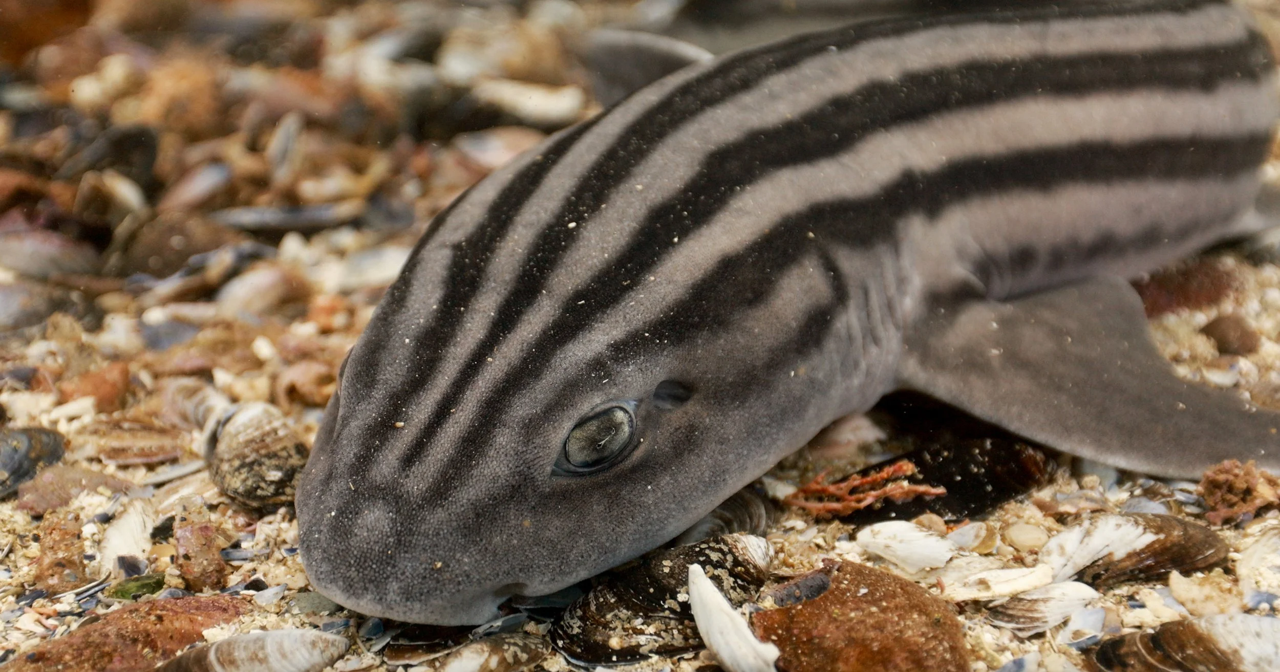 Screen Shot 2023-03-10 at 10.23.05 AM.JPG