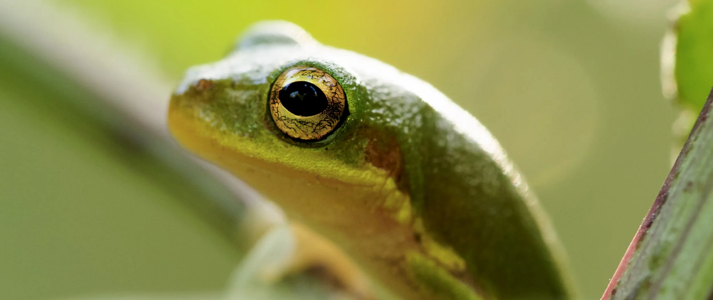 Screen Shot 2022-09-14 at 1.13.28 PM.jpg