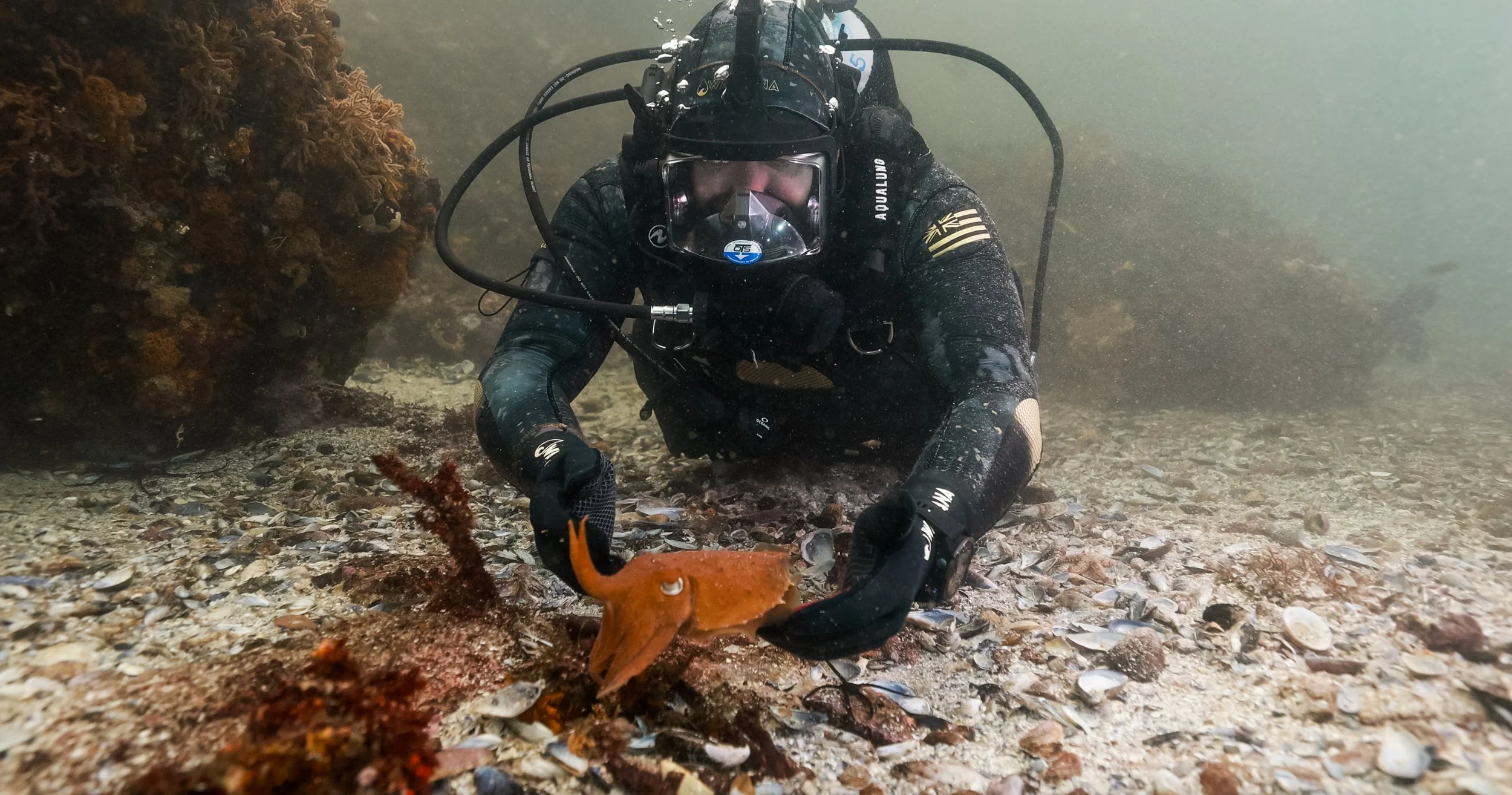 Screen Shot 2023-03-10 at 10.24.30 AM 2.JPG