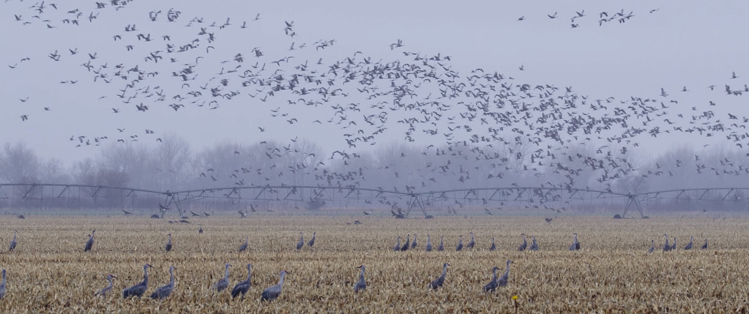 Screen Shot 2022-09-14 at 2.42.59 PM.jpg